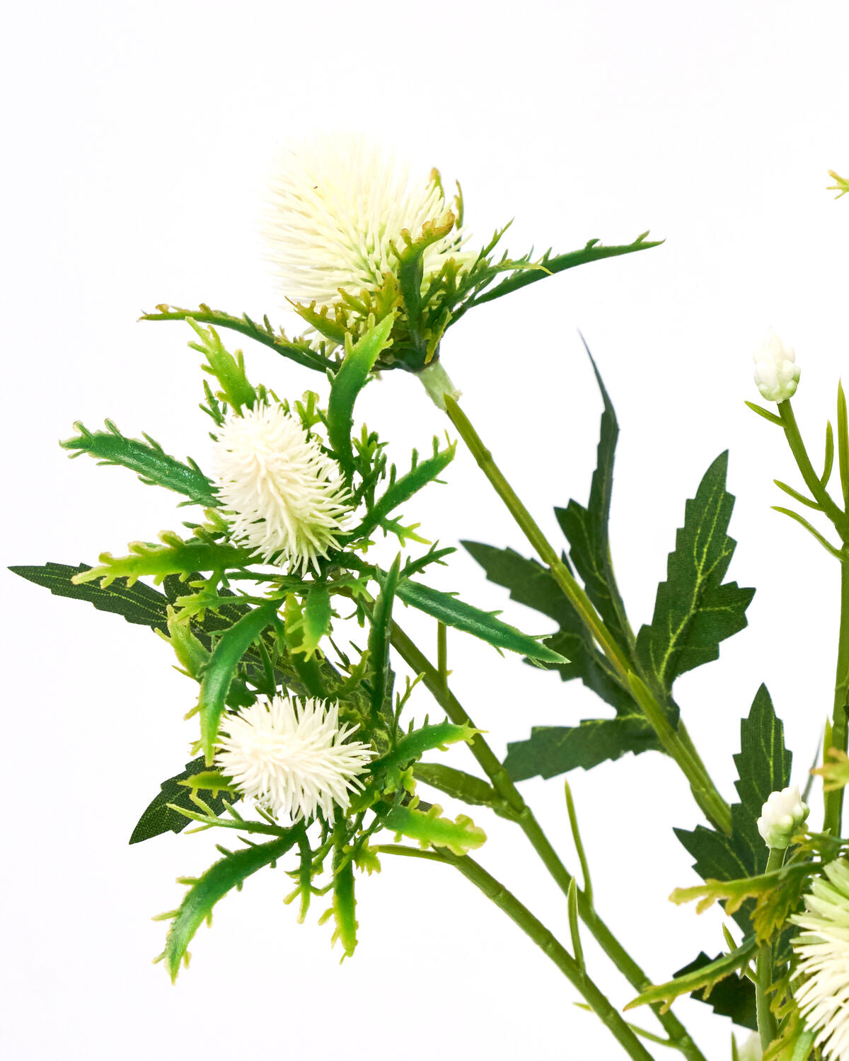 Schlichte, weiße HDEryngium-Kunstblume von House Doctor, perfekt für moderne Wohnräume und zeitlose Arrangements.