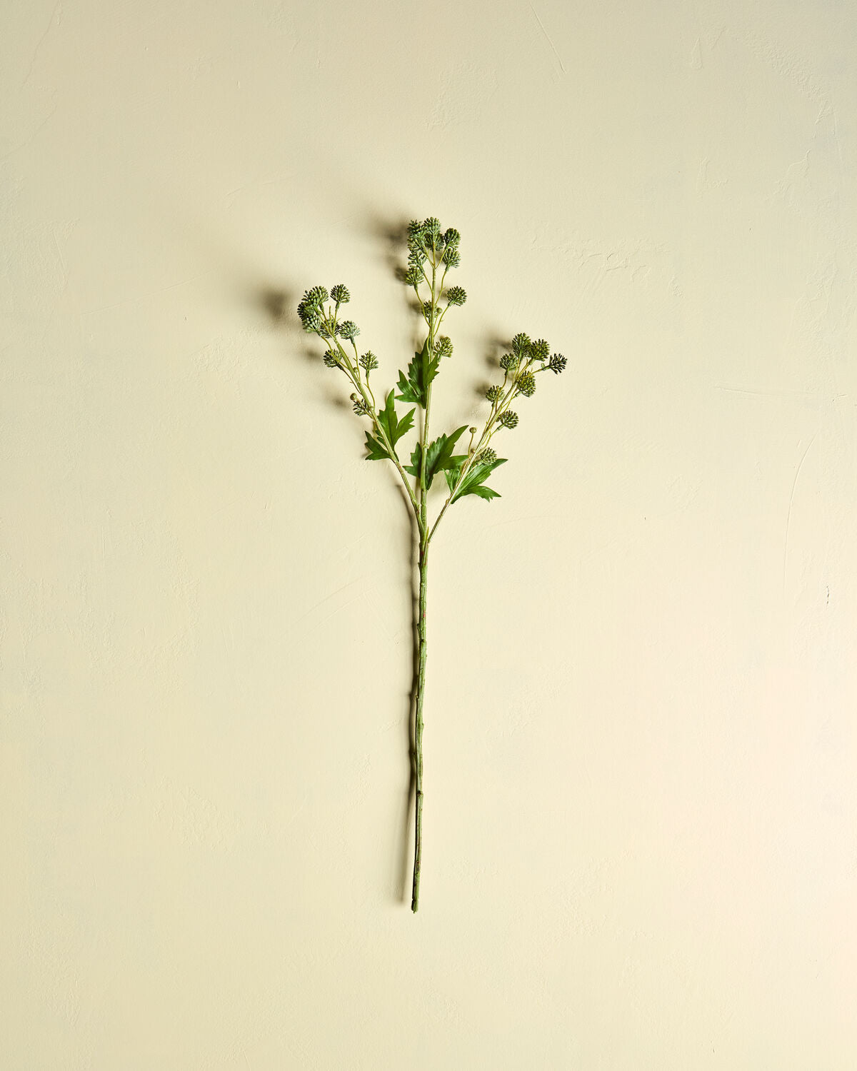 Artificial branch, HDSedum, Grün in Green präsentiert im Onlineshop von KAQTU Design AG. Kunstpflanze ist von House Doctor