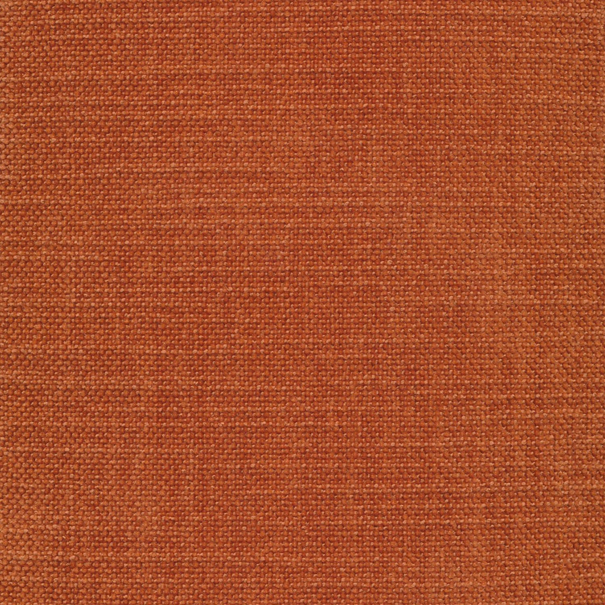 Rollo Styletto Klappsofa 80 mit Cover und Gestellbezug Classic in 412 Esina Rust Orange präsentiert im Onlineshop von KAQTU Design AG. Bettsofa ist von Innovation Living