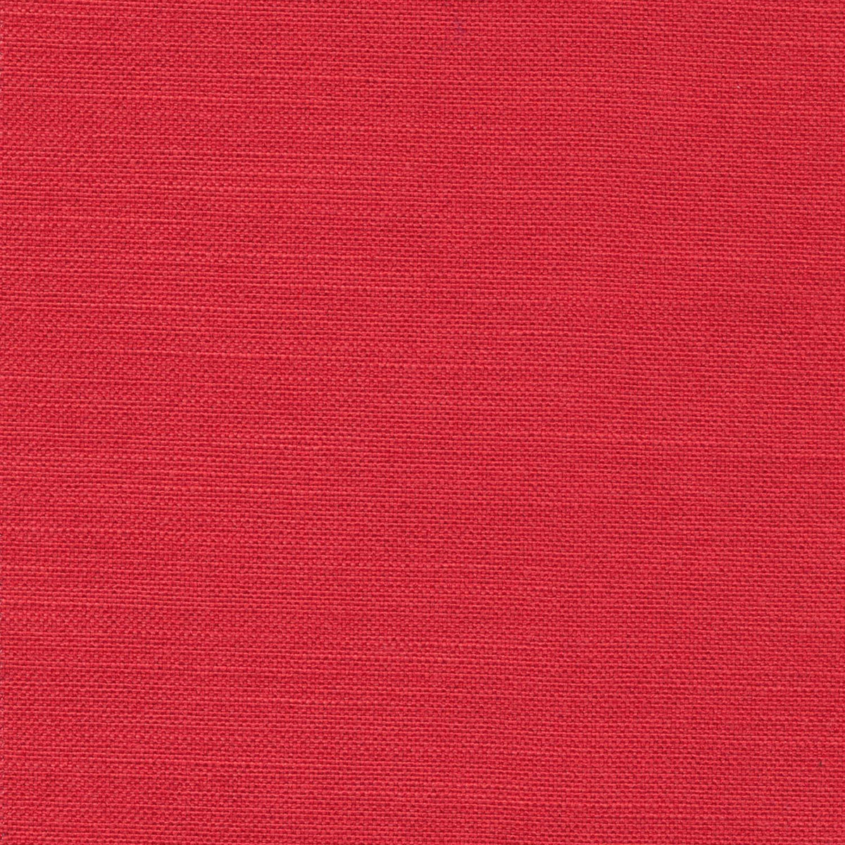Rollo Styletto Klappsofa 80 mit Gestellbezug Spring