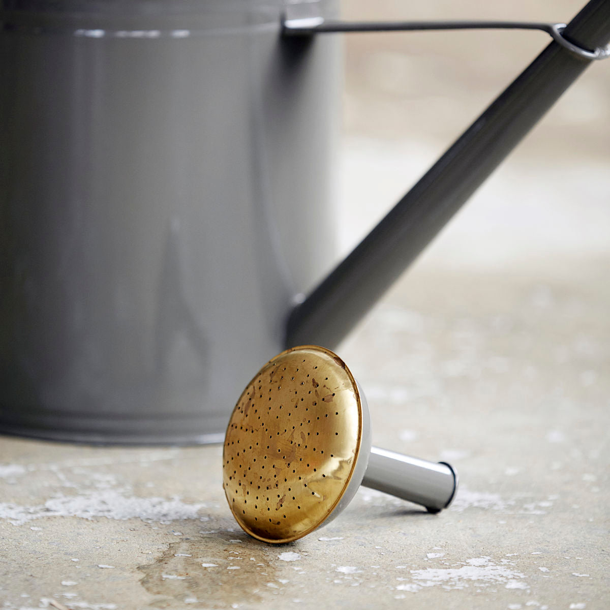 Giesskanne, Wan in Grau präsentiert im Onlineshop von KAQTU Design AG. Giesskanne ist von House Doctor