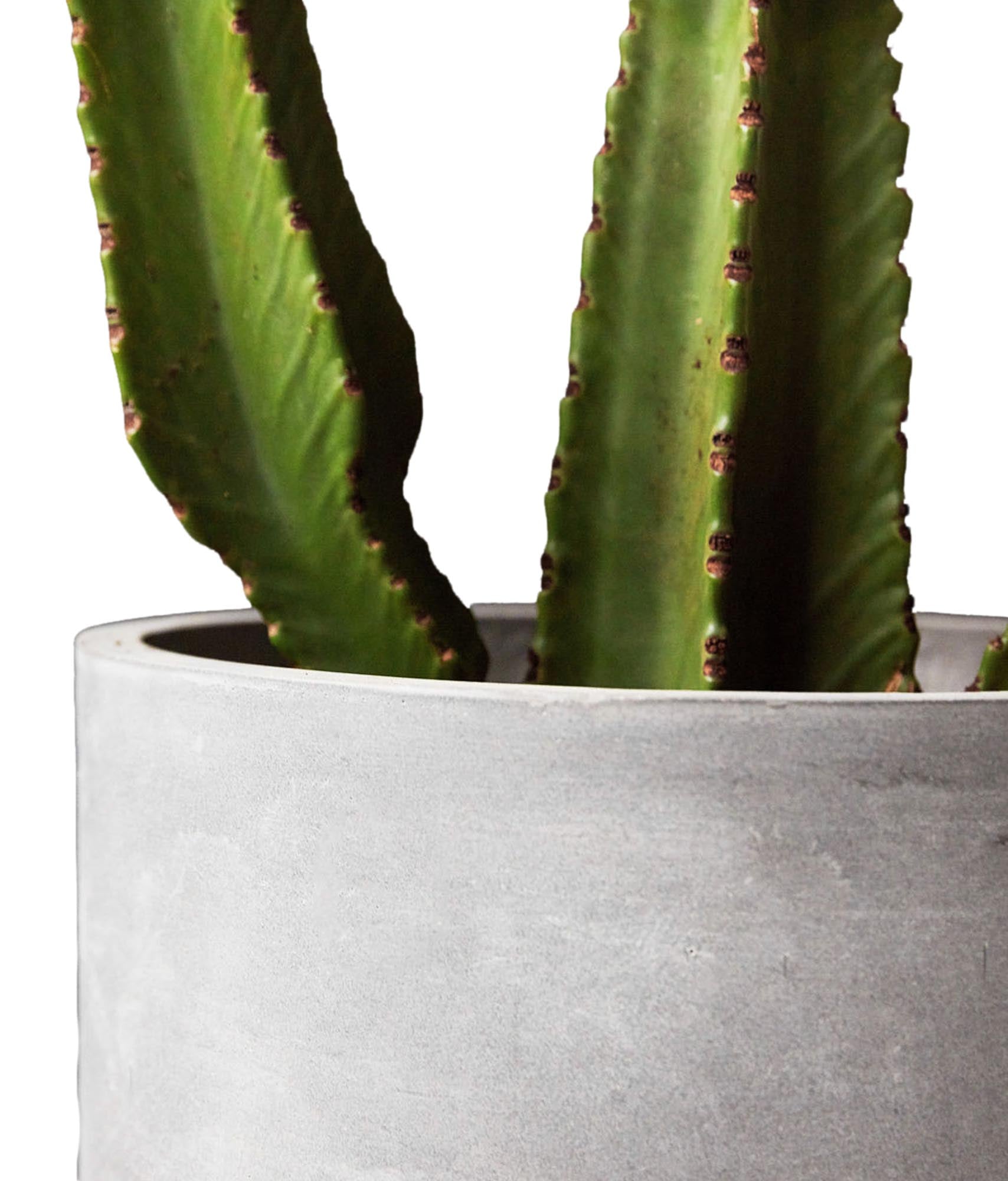 Entdecken Sie den stilvollen Blumenkasten Gard V2 von House Doctor – ein Set aus 2 robusten, frostsicheren Töpfen mit elegantem Beton-Look, perfekt für Ihre Pflanzen.