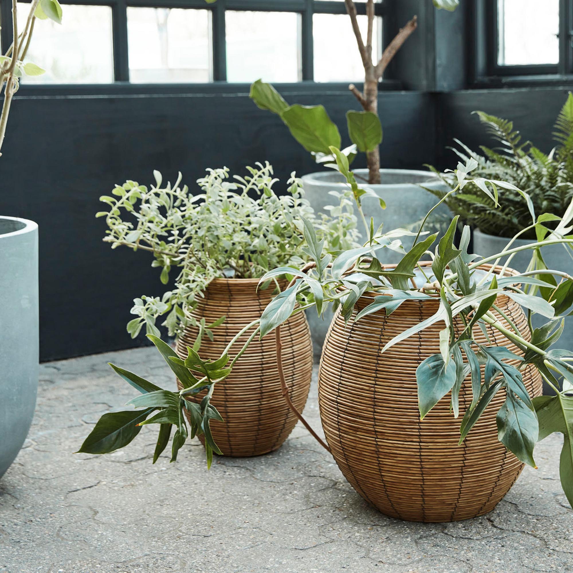 Eleganter Blumentopf HDBoum Natur von House Doctor für stilvolle Räume.