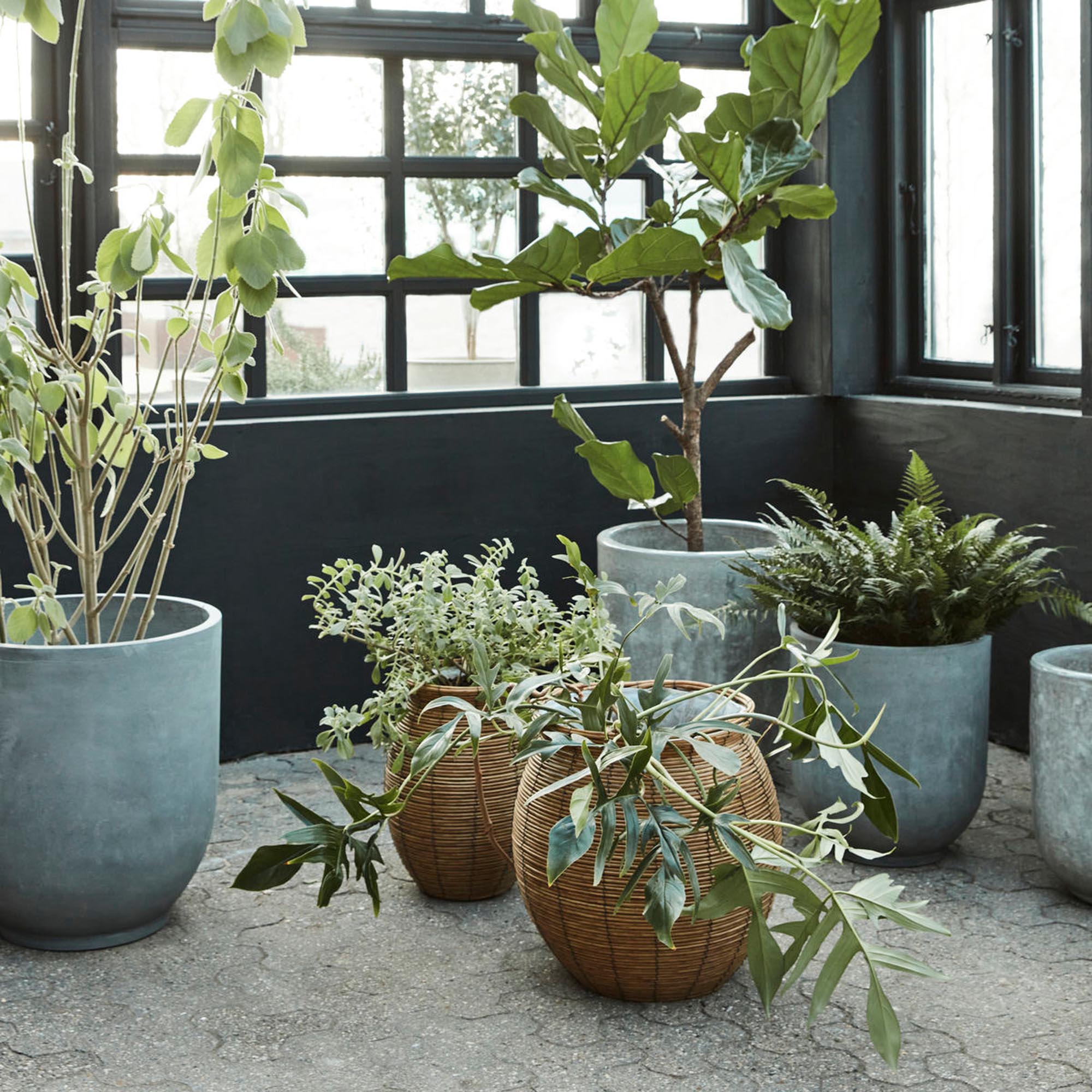 Rustikaler Blumentopf HDBoum Natur von House Doctor für Pflanzen.