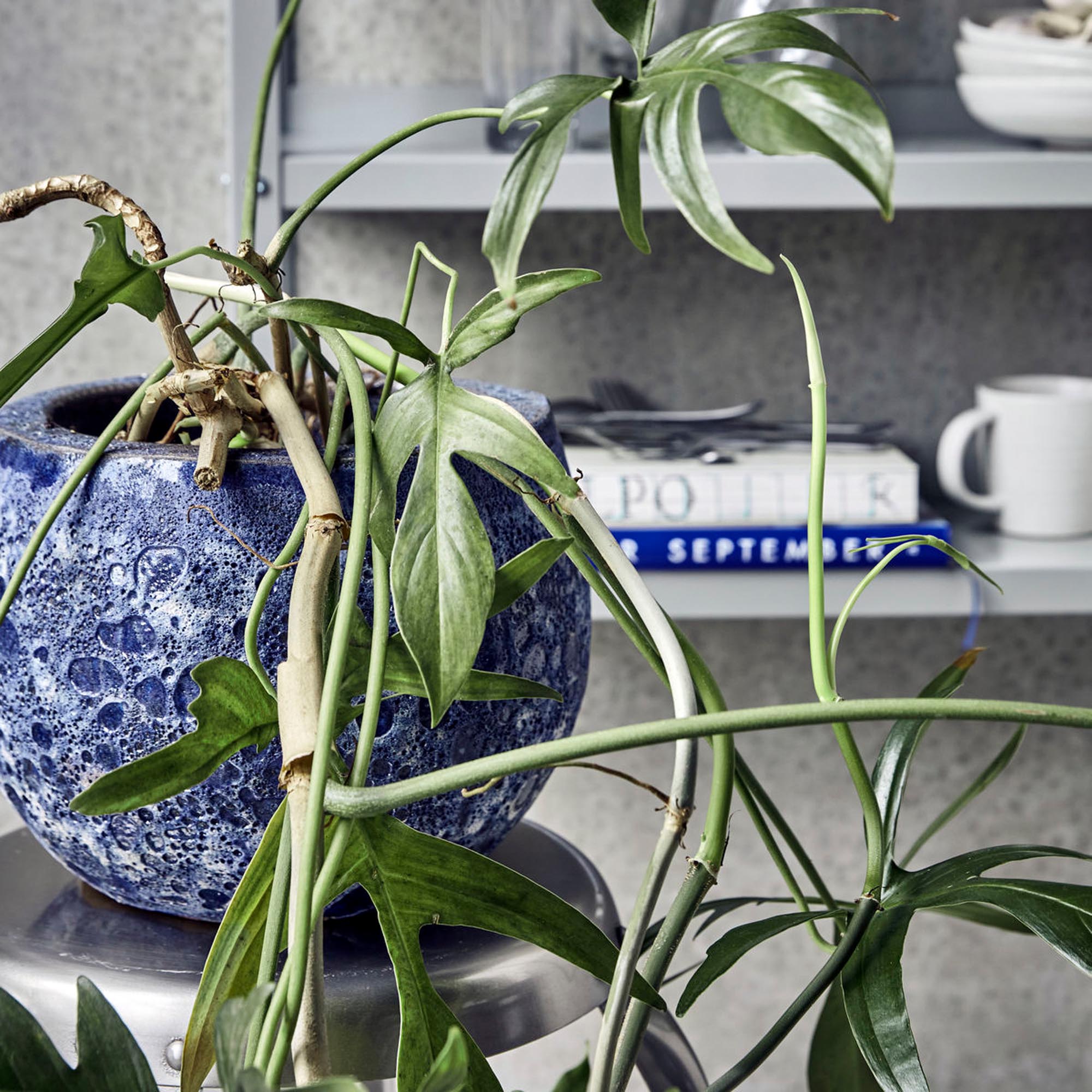 Eleganter Blumentopf HDPavi in Blau von House Doctor, Keramikkunst.