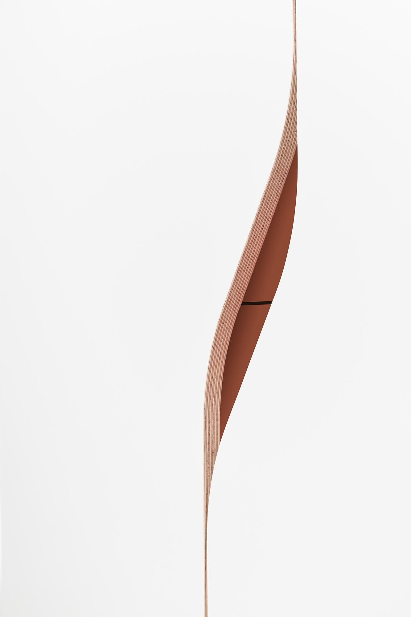 Eleganter Plane Schrank V2: Stilvolle Aufbewahrungslösung von Müller.