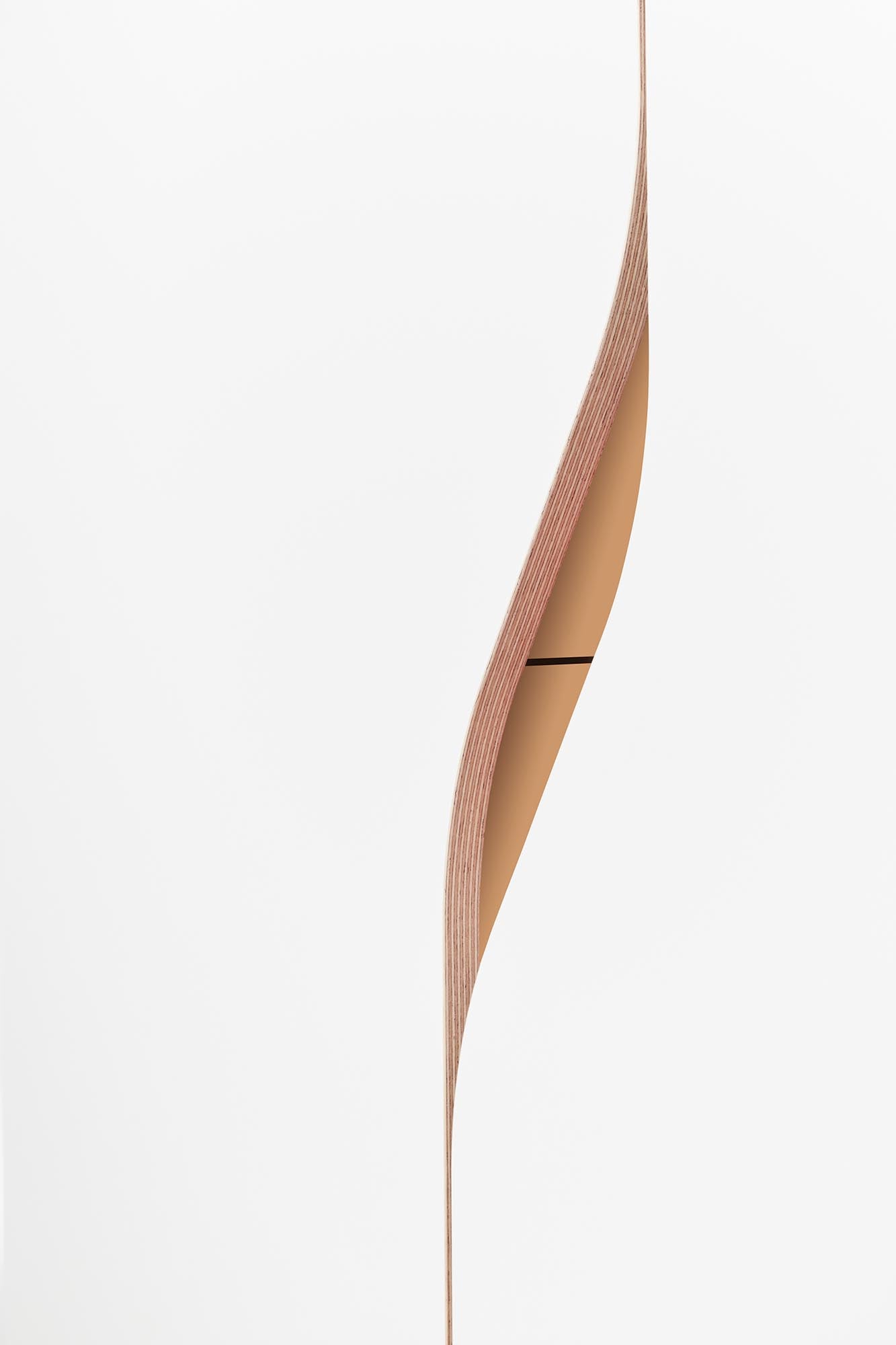 Plane Schrank V3: Elegante Stauraumlösung für zeitgemässes Wohnen.