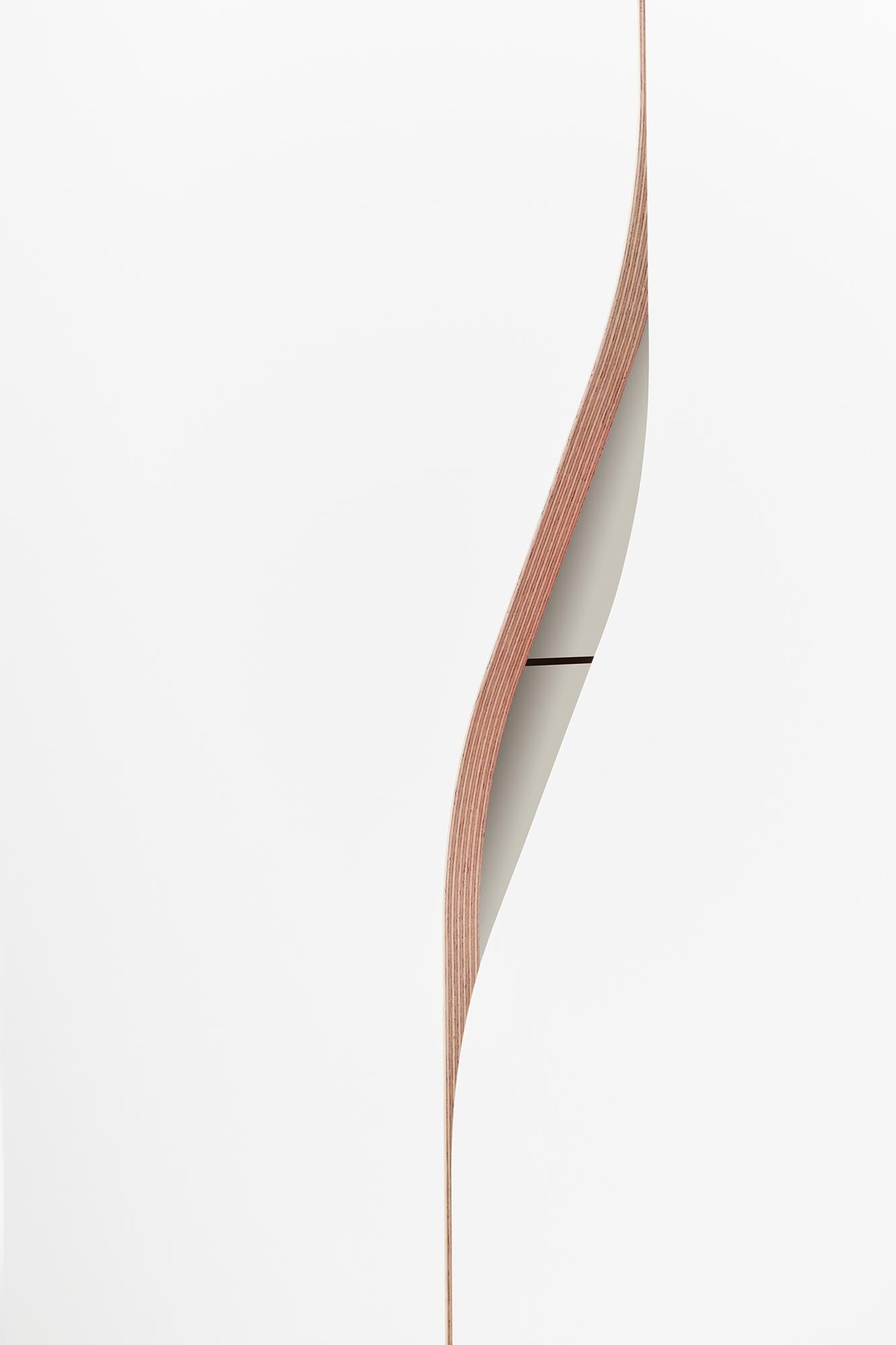 Entdecken Sie den Plane Schrank V1 von Müller Möbelwerkstätten – stilvolles Design trifft auf praktische Aufbewahrungslösungen für jeden Raum.