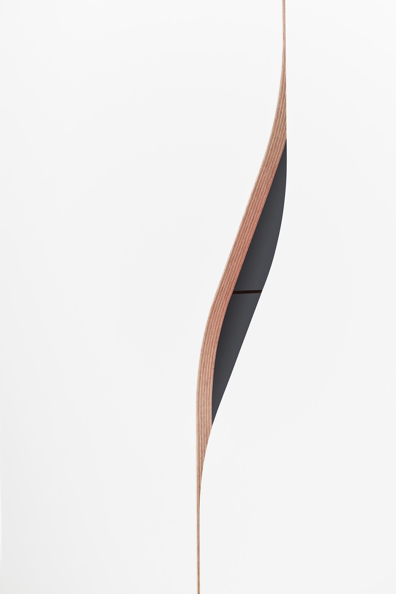 Plane Schrank V4: Eleganter Stauraum für moderne Wohnkonzepte.