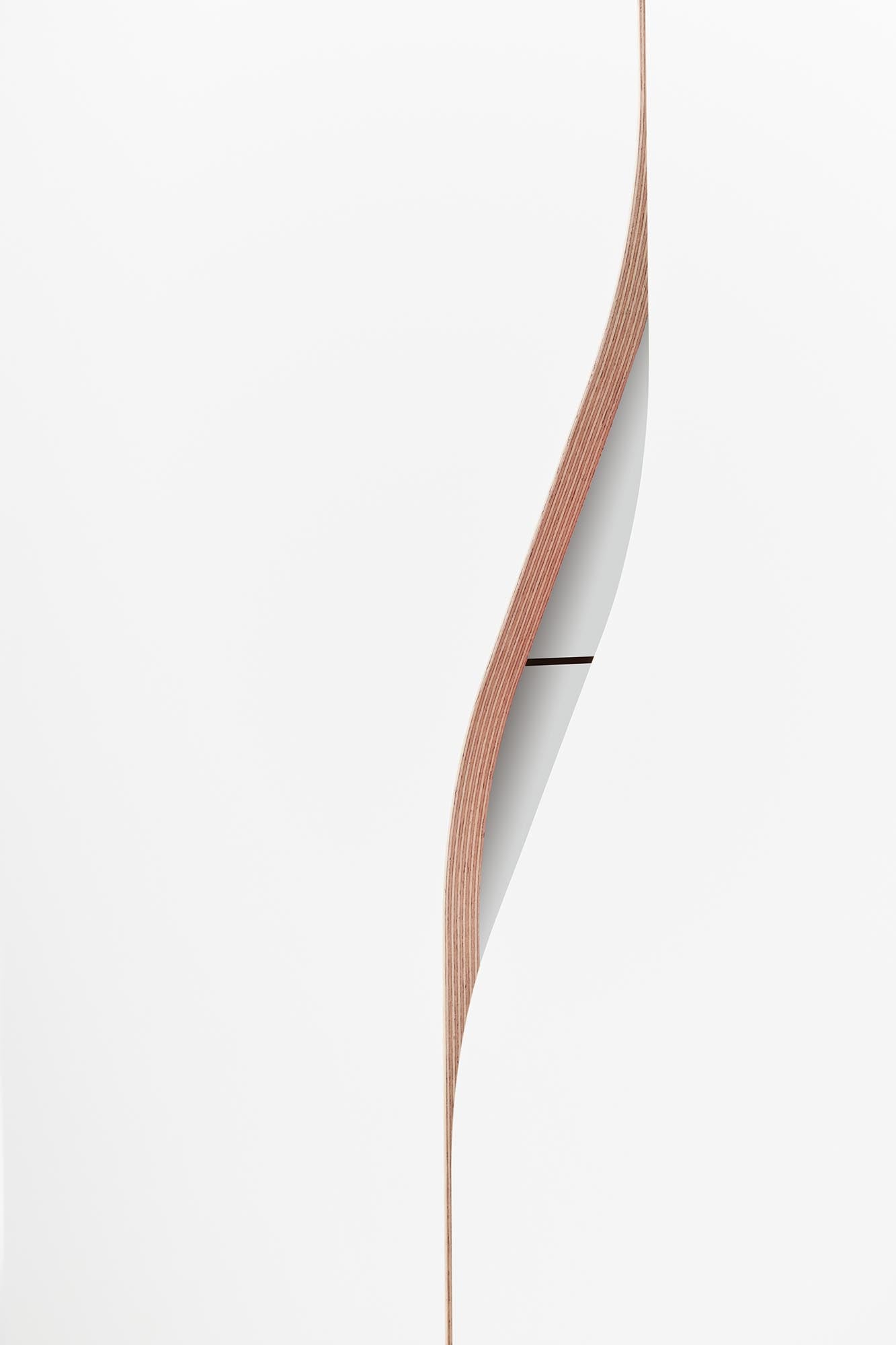 Plane Schrank V4: Stilvoller Stauraum für zeitgemässe Inneneinrichtung.