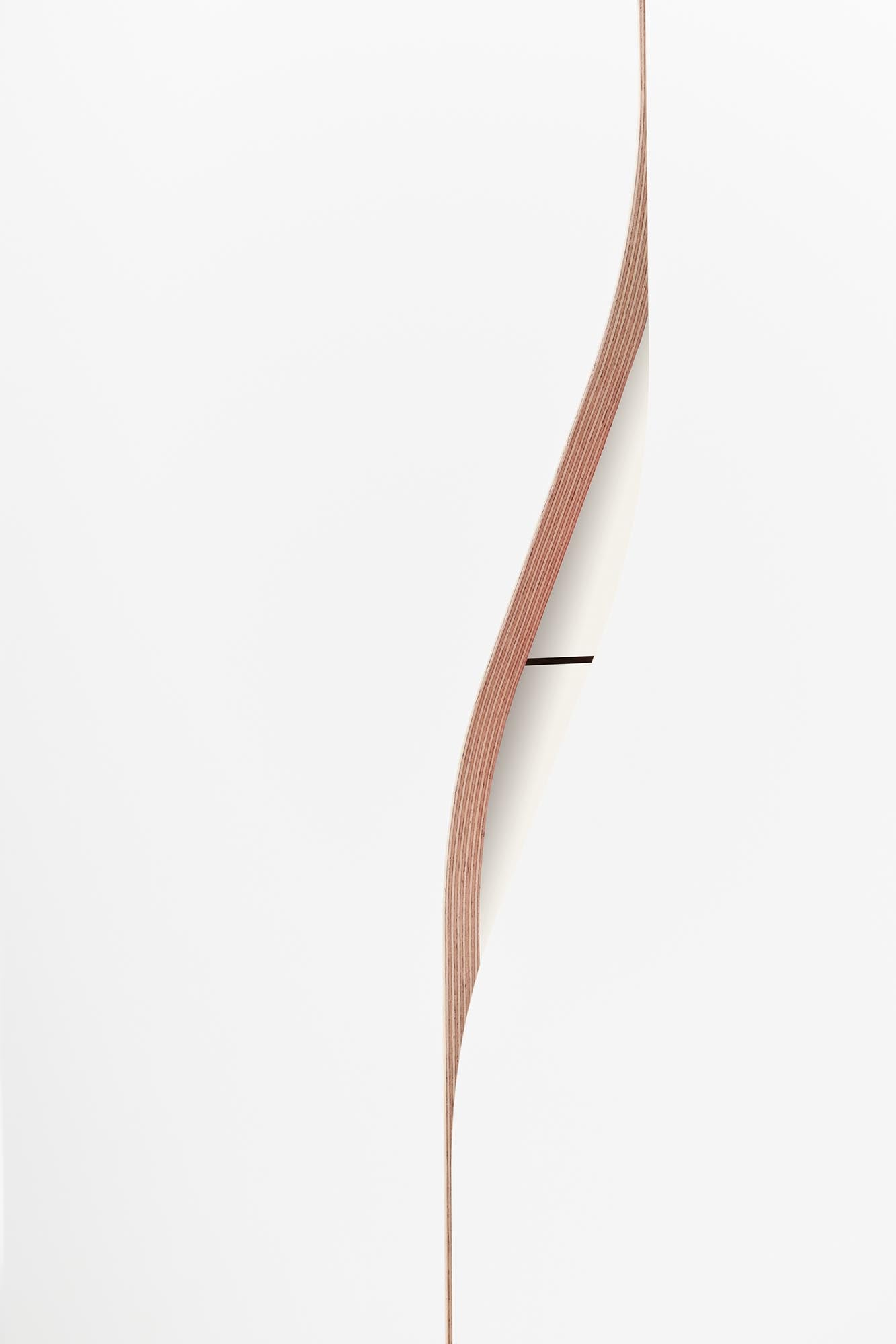 Plane Schrank V5 von Müller Möbelwerkstätten: Stilvoller und funktionaler Stauraum für Ihr Zuhause.