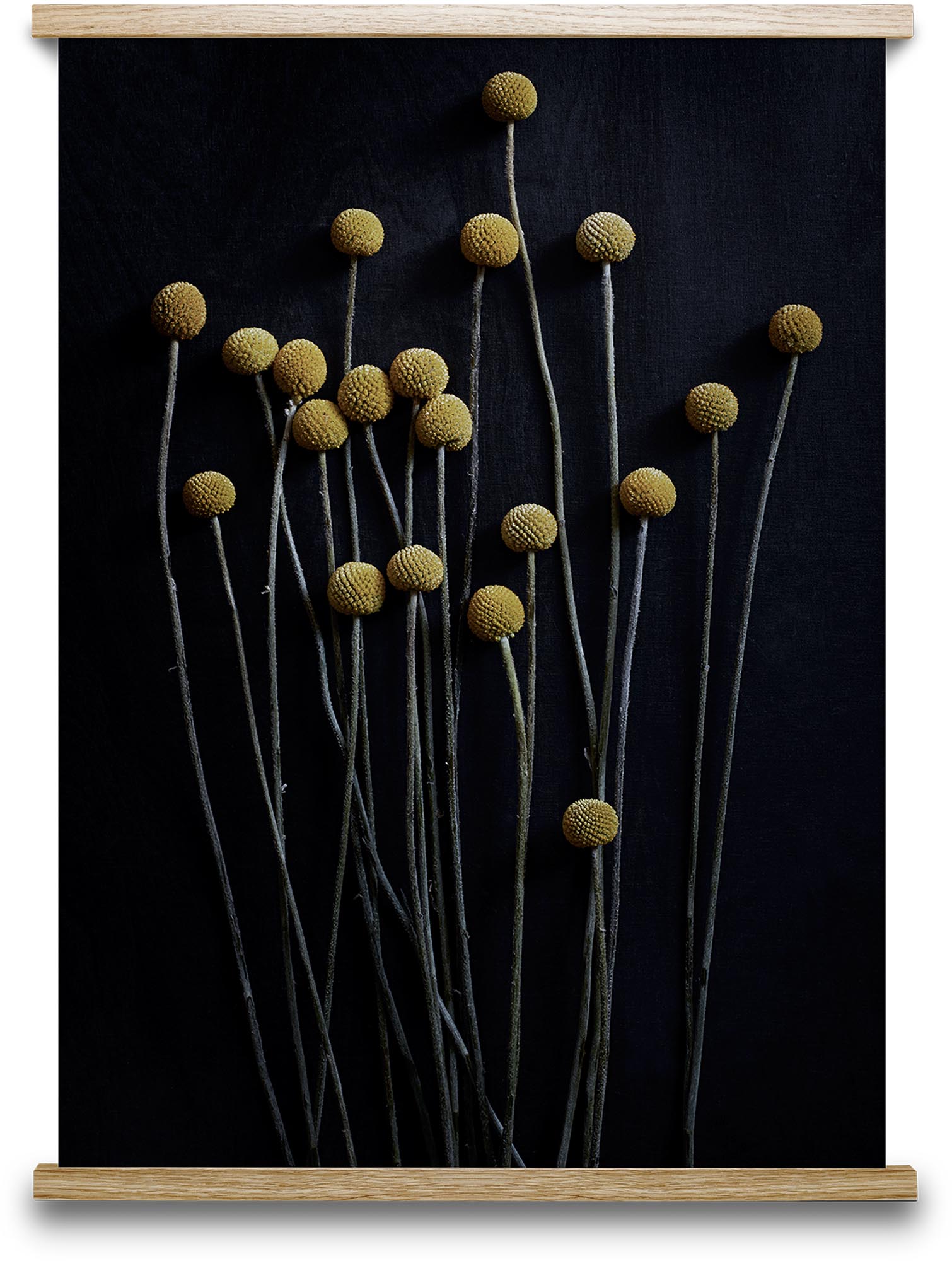 Entdecken Sie den Neoclassic I Kunstdruck von Paper Collective. Ein stilvolles Kunstwerk, das modernes Design und zeitlose Eleganz vereint.