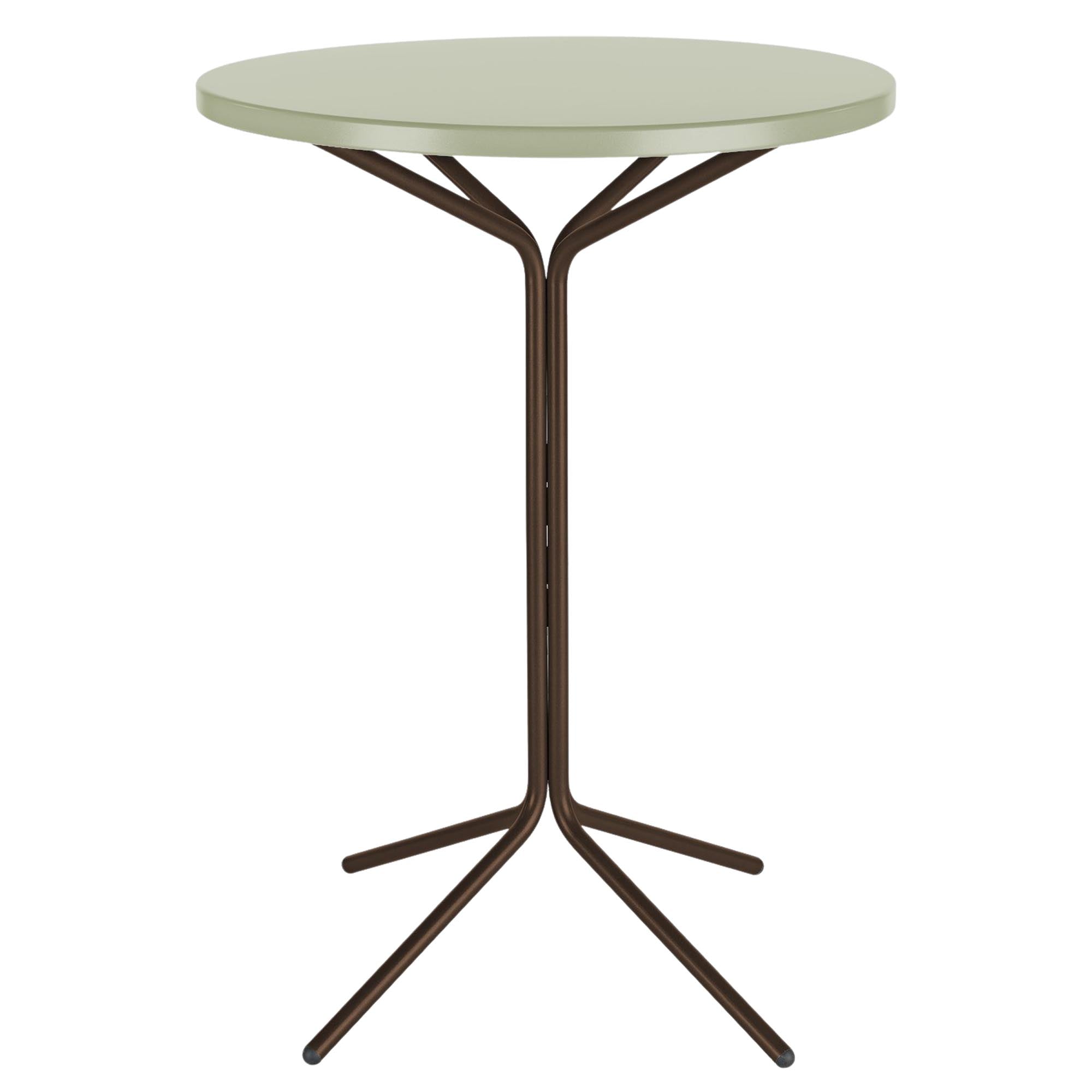 PIX Metall-Stehtisch Outdoor ø80 / 110 in Pastellgrün / Mokka präsentiert im Onlineshop von KAQTU Design AG. Hochtisch Outdoor ist von Schaffner