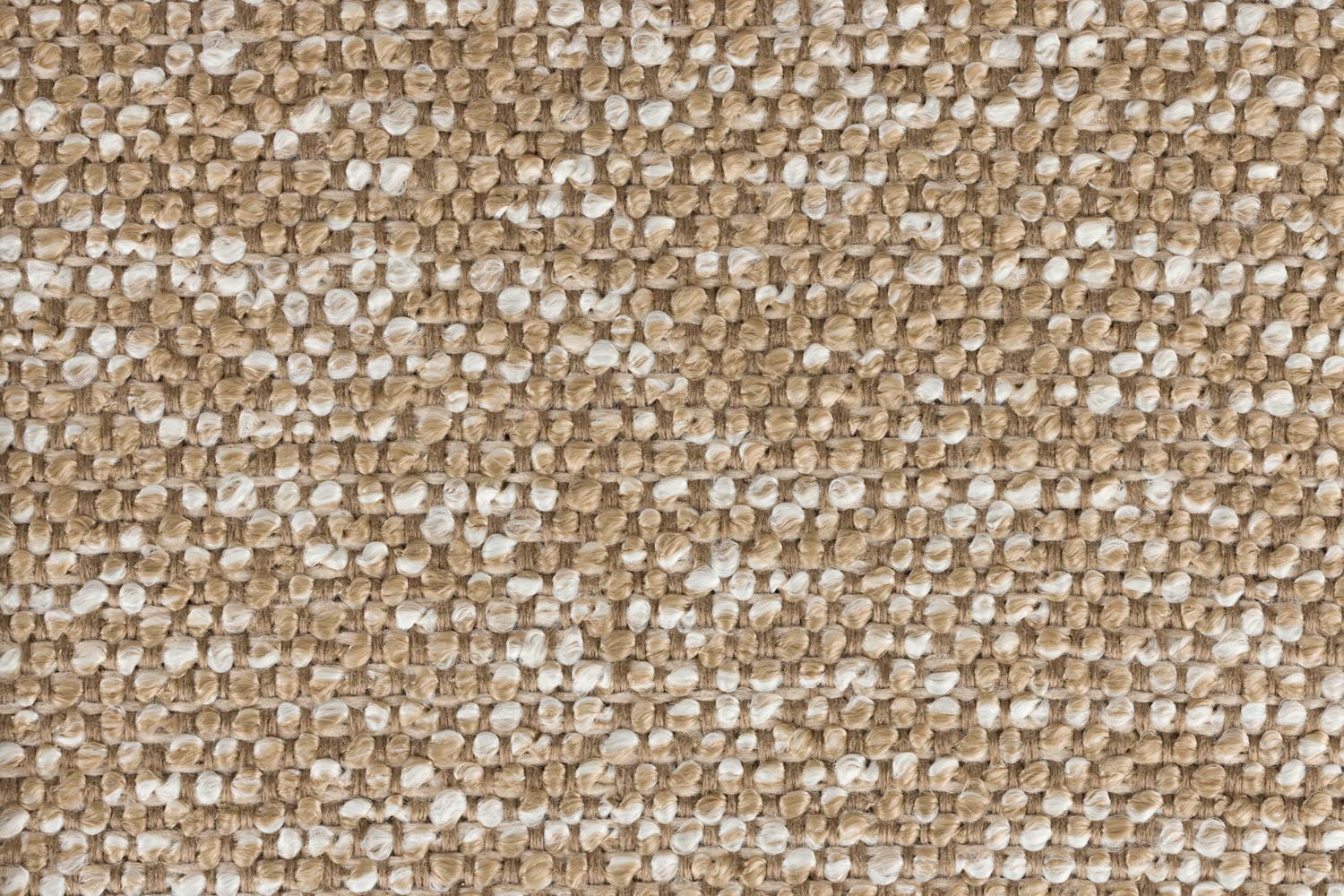 Eleganter Schalenstuhl in Braun von White Label Living. Ideal für stilvolle Wohnräume, vereint Komfort und modernes Design.