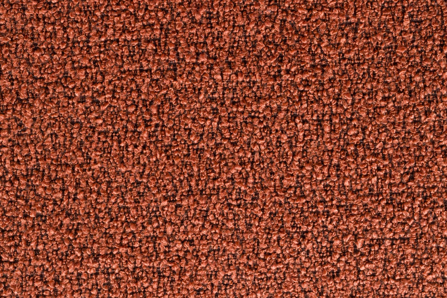 Barhocker Joa Terra: Modernes Design trifft auf bequeme Sitzqualität.