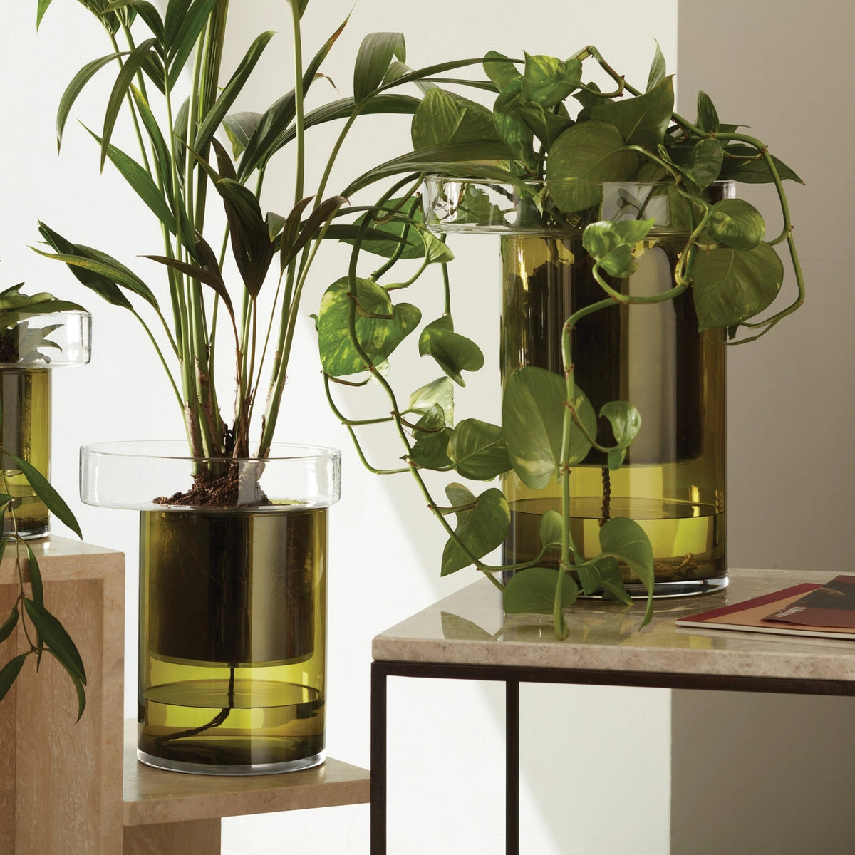 Pflanzentopf Balcony selbstwässernd H27 Ø22 cm klar/olivgrün in Grün präsentiert im Onlineshop von KAQTU Design AG. Vase ist von LSA