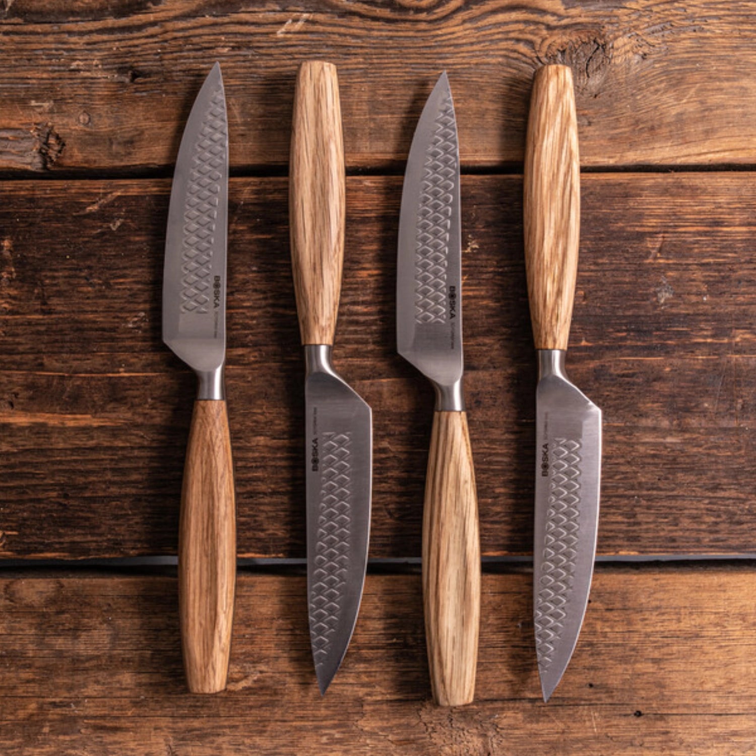 Elegantes 4er Set Oslo+ Steakmesser von Boska, perfekt für Grillabende, mit präzisen Klingen und komfortablem Griff für ein erstklassiges Schneiderlebnis.