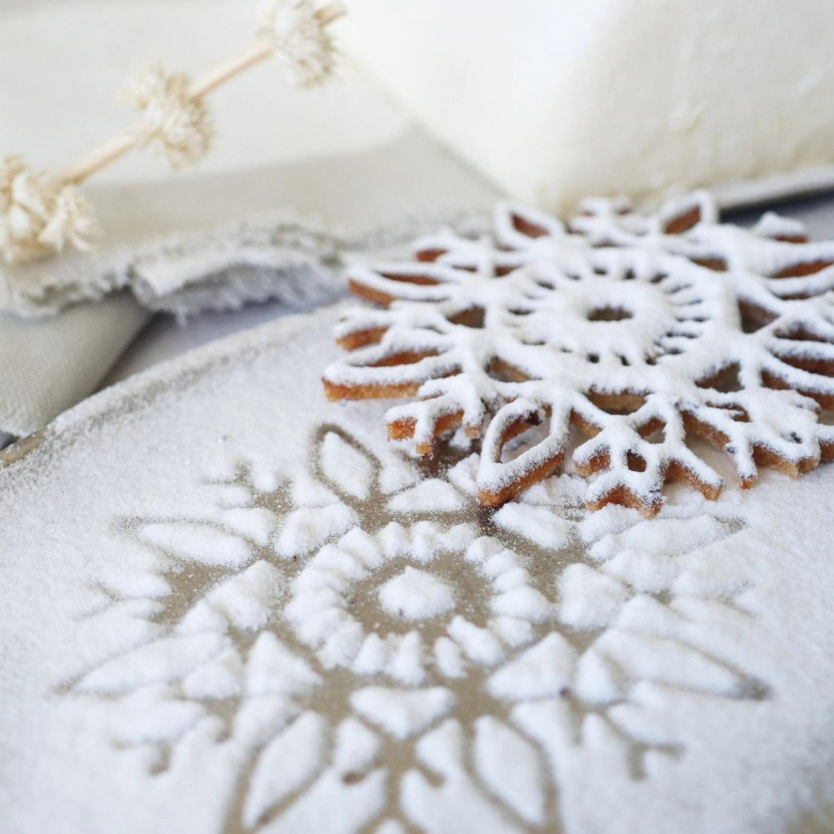 Farbpulver Schneepulver samtig glitzernd in Weiss präsentiert im Onlineshop von KAQTU Design AG. Zutaten ist von Scrap Cooking