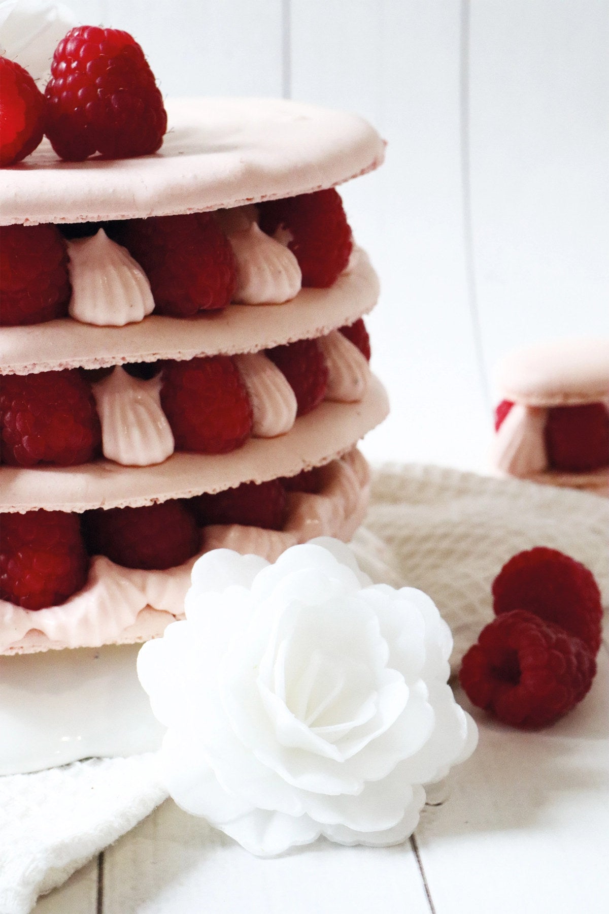 3er Set Rosen aus Esspapier weiss in Weiss präsentiert im Onlineshop von KAQTU Design AG. Zutaten ist von Scrap Cooking