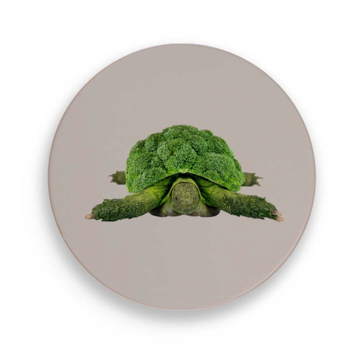 Untersetzer Schildkröte D18cm Keramik in Mehrfarbig präsentiert im Onlineshop von KAQTU Design AG. Pfannenuntersatz ist von Easy Life