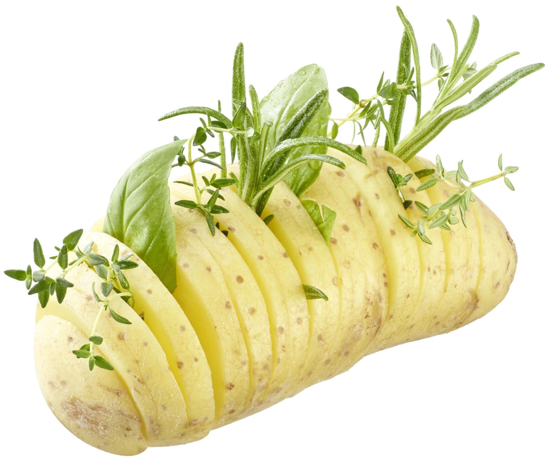 Fächerkartoffelschneider von Westmark, perfekt für gleichmäßige, dekorative Kartoffelscheiben und vielseitige Zubereitungsmöglichkeiten.