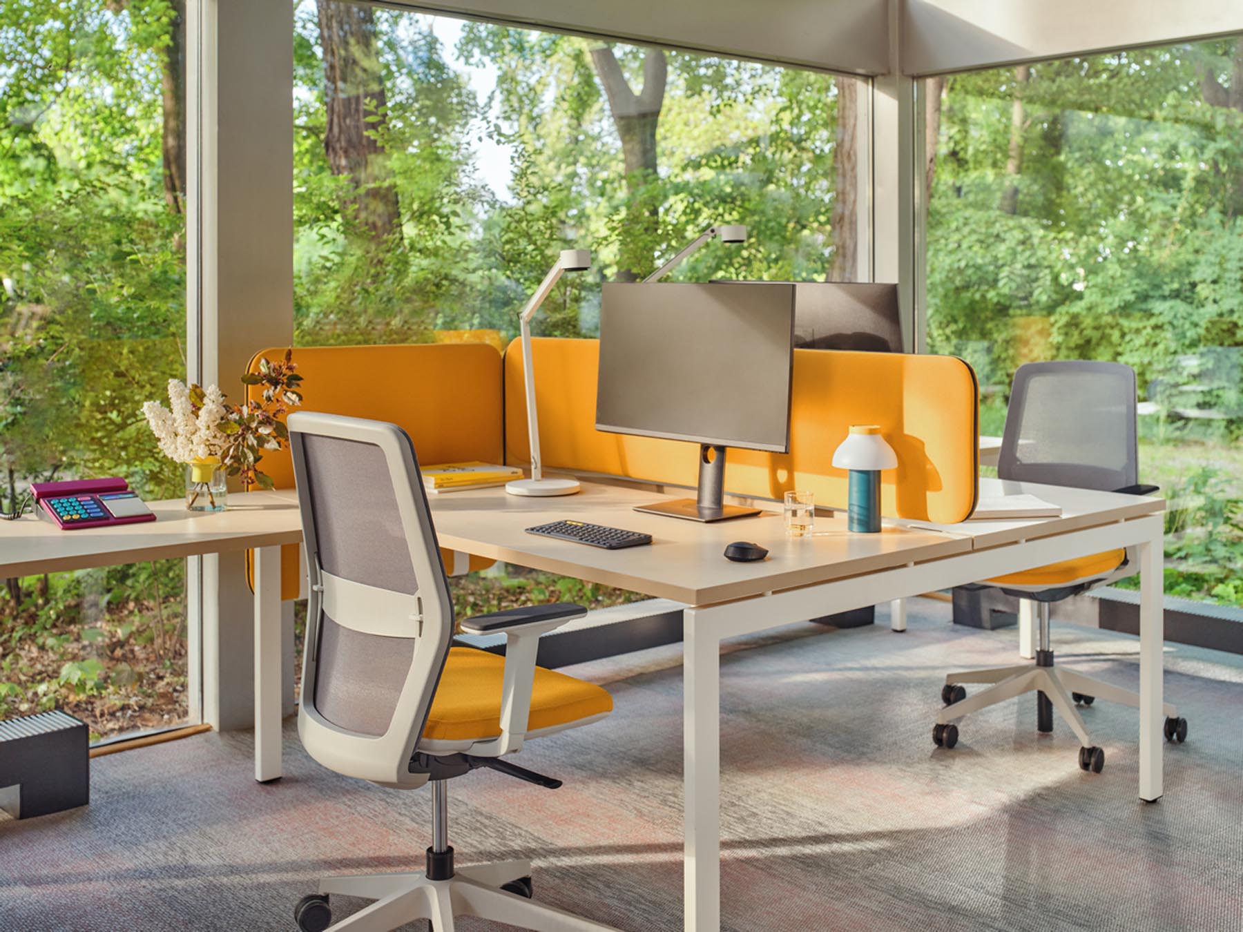 Stylischer Doppelschreibtisch Ogi U Bench BOU48E2 mit ansprechendem Holzfinish, robusten U-förmigen Beinen und praktischem Sichtschutz für konzentriertes Arbeiten.
