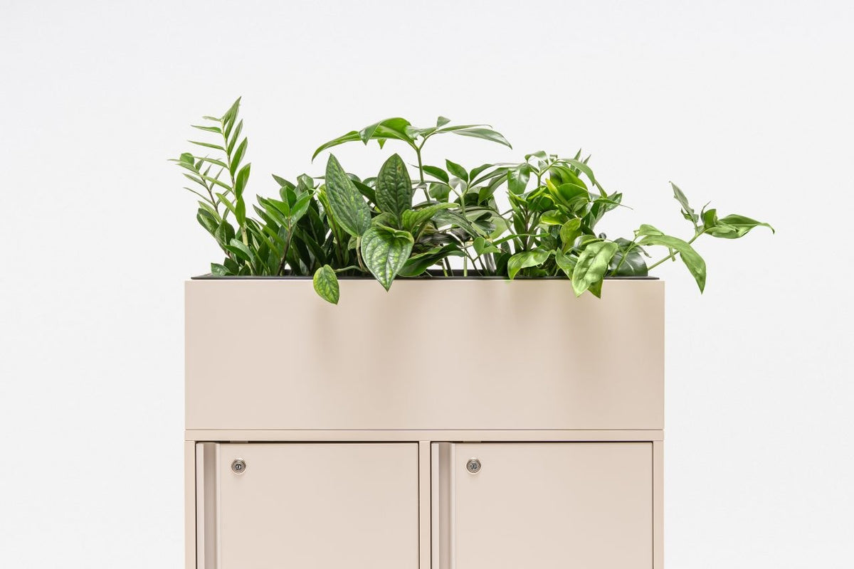 Blumentopf-Aufsatz für Locker Plus von Mdd in Rot Matt mit schwarzem Kunststoffeinsatz aus Spanplatte mit ABS-Umleimer, Aufsicht auf Doppelmodul.