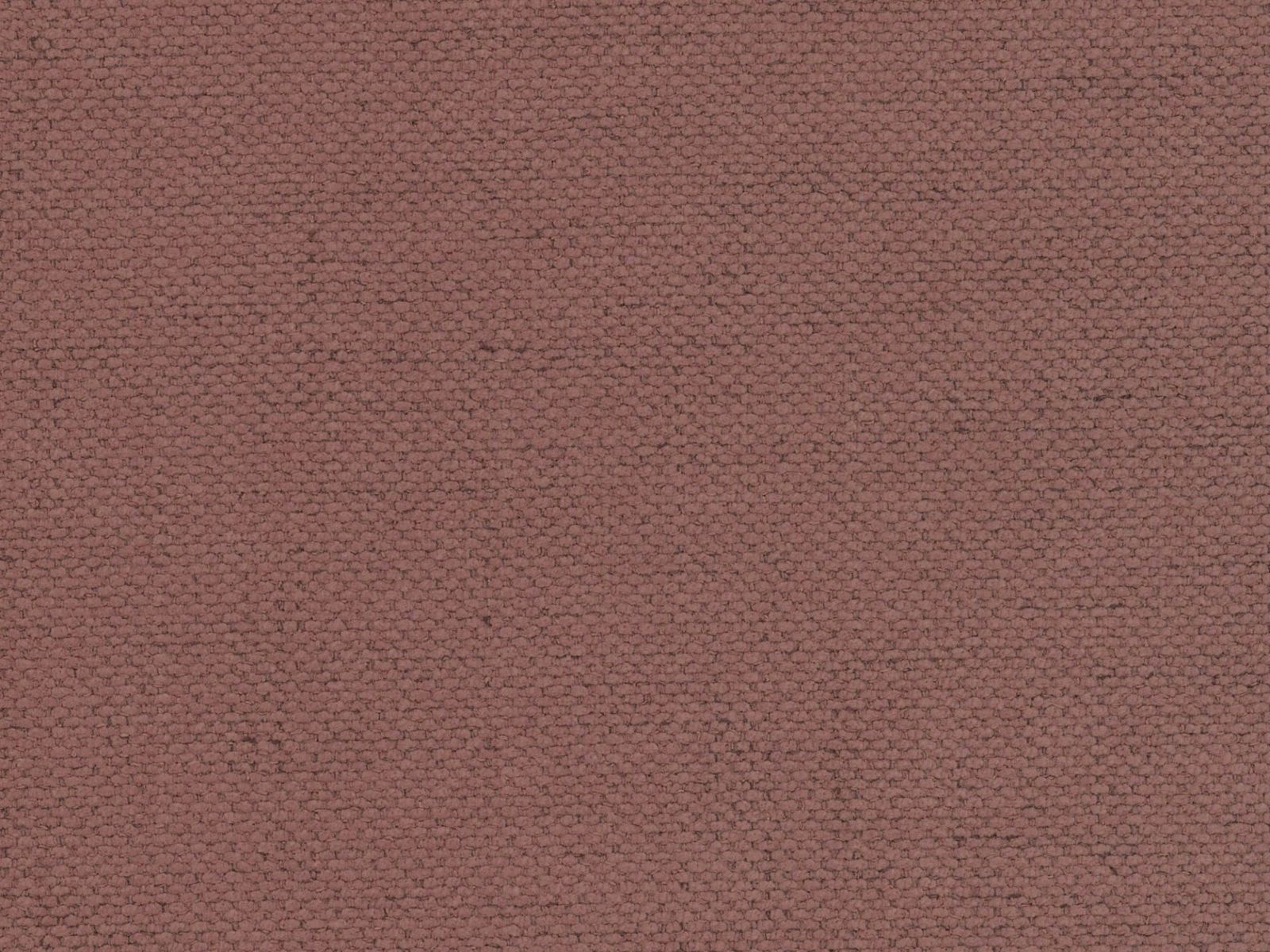 Modernes 3-Sitzer Sofa Dormi in sanftem Rosé, vielseitig einsetzbar als gemütliches Sofa und komfortables Schlafsofa für Übernachtungsgäste.