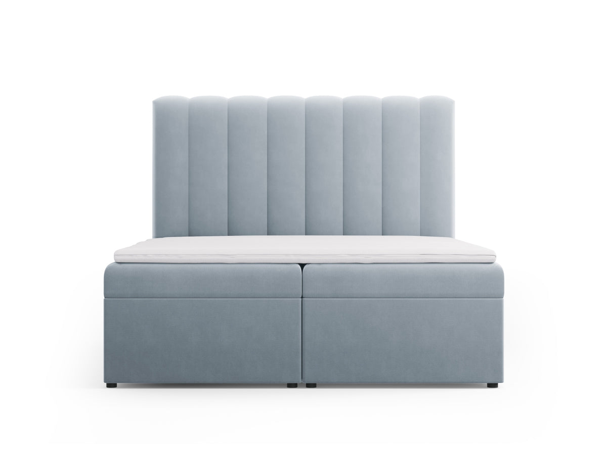 Kelp Boxspringbett Set 160cm: Headboard + Box Springs/Matratze + Matratze Topper in Light Blue-Bluvel präsentiert im Onlineshop von KAQTU Design AG. Bett ist von Micadoni