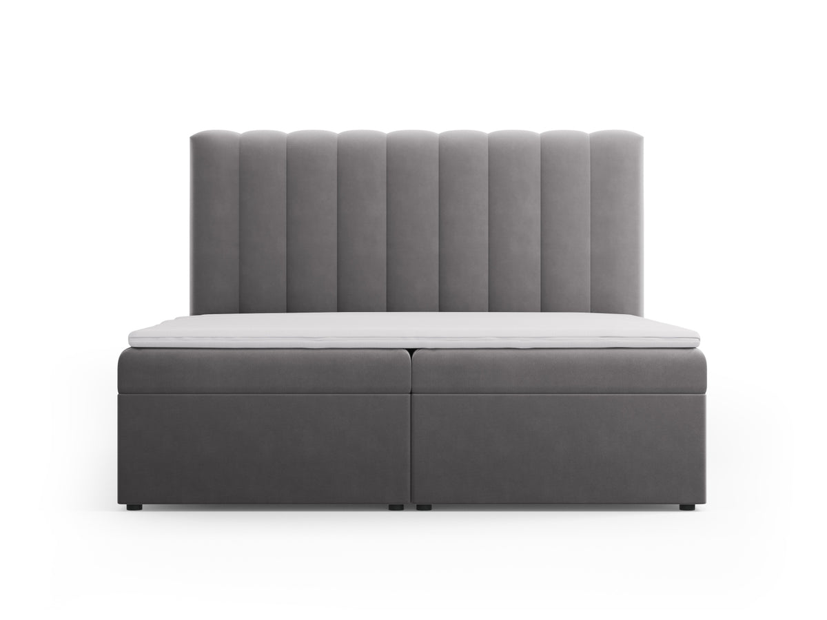 Kelp Boxspringbett Set 180cm: Headboard + Box Springs/Matratze + Matratze Topper in Grey-Bluvel präsentiert im Onlineshop von KAQTU Design AG. Bett ist von Micadoni