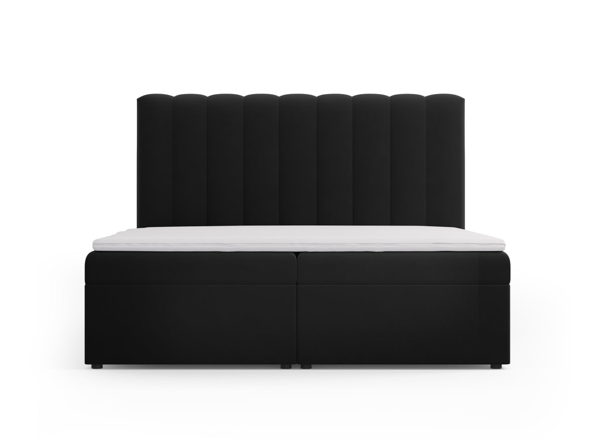 Kelp Boxspringbett Set 180cm: Headboard + Box Springs/Matratze + Matratze Topper in Black-Bluvel präsentiert im Onlineshop von KAQTU Design AG. Bett ist von Micadoni