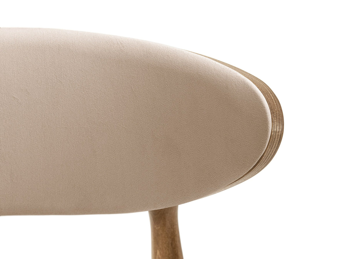 Foto des Rina Stuhls von Micadoni mit samtigem Bezug in Mandel Beige, gepolsterter Rückenlehne und Beinen aus amerikanischem Nussbaum.
