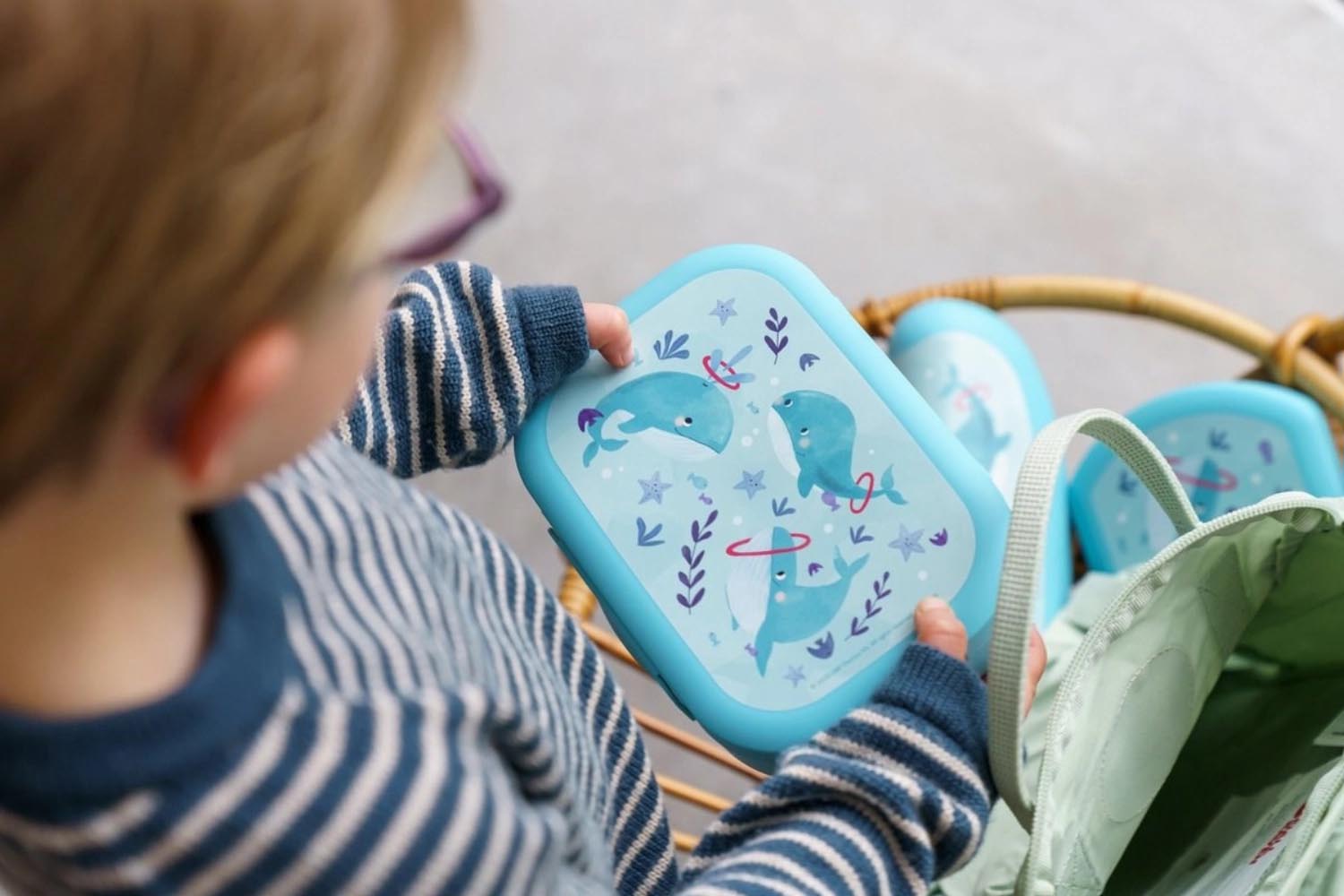 Hellblaue Sealife Lunchbox mit Wal-Design, 180x132x50 mm, perfekt für unterwegs, von Amuse, ideal für Snacks und kleine Mahlzeiten.