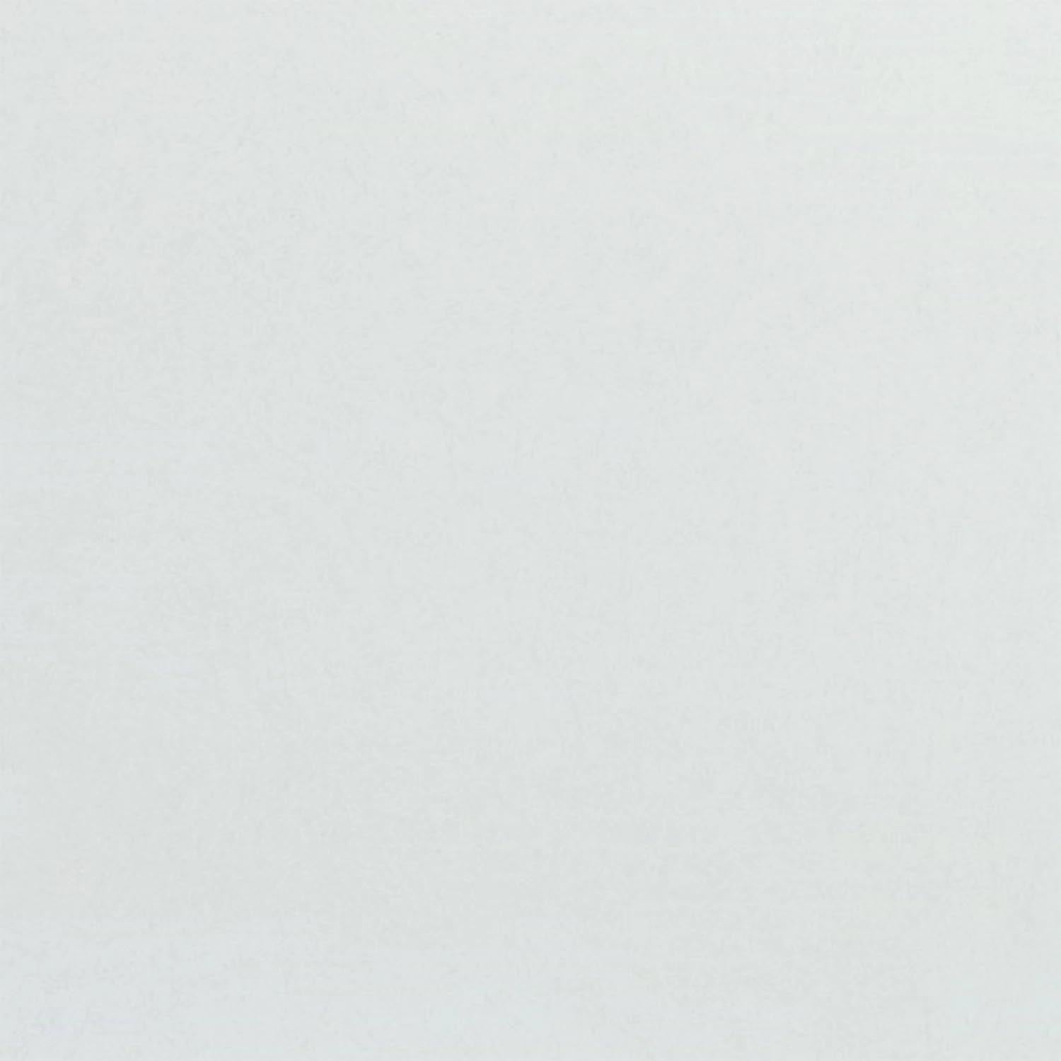 Robustes Tablett Polyclassic von Roltex, lichtgrau, 46x34.4cm, ideal für Gastronomie und Catering, langlebig und pflegeleicht.