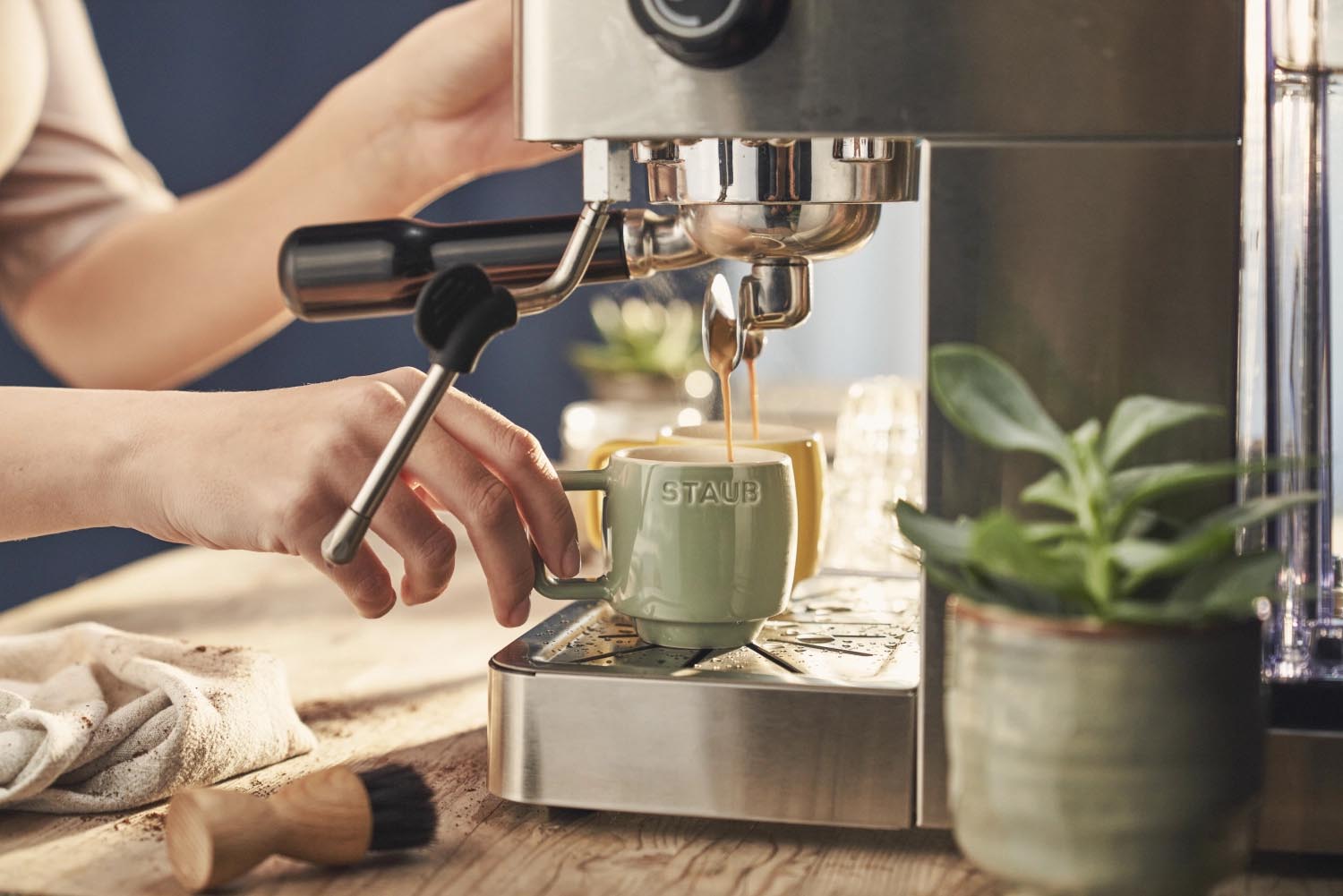Kompakte 100ml Tasse in Eucalyptus-Grün von Staub, perfekt für Espresso oder kleine Getränke, stilvoll und langlebig.