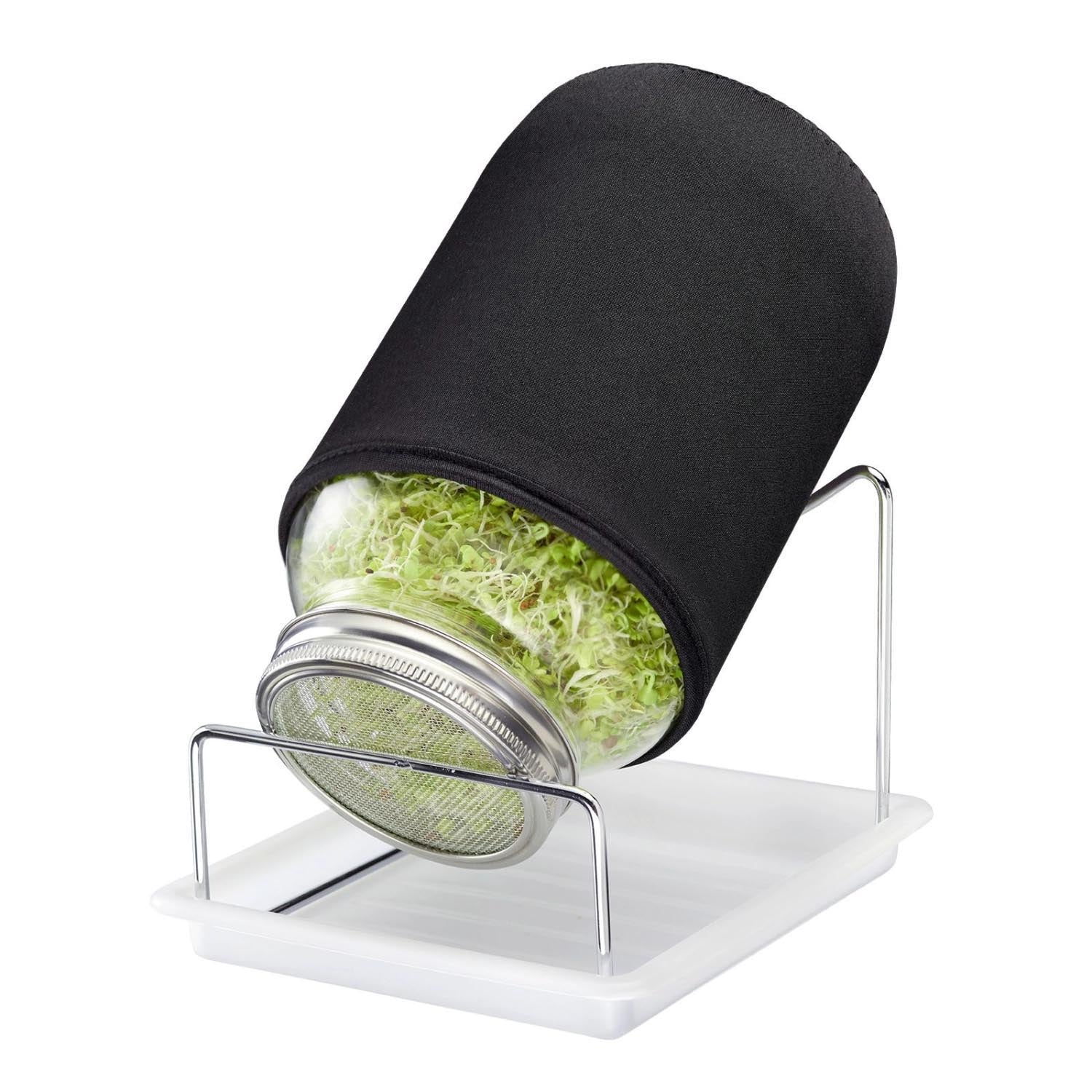 Sprossenglas 2000 ml in Mehrfarbig präsentiert im Onlineshop von KAQTU Design AG. Aufbewahrungsbehälter ist von Westmark