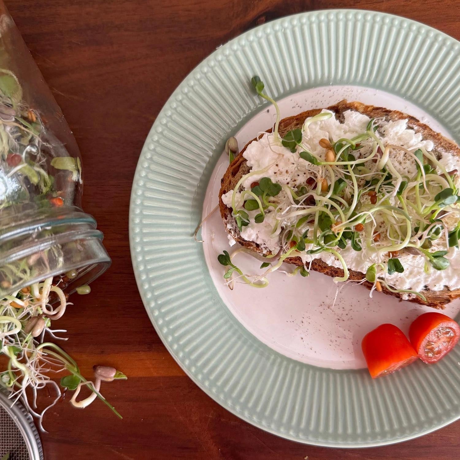 Das Westmark Sprossenglas 2000 ml ist ideal für die hygienische und einfache Anzucht frischer Sprossen in der eigenen Küche.