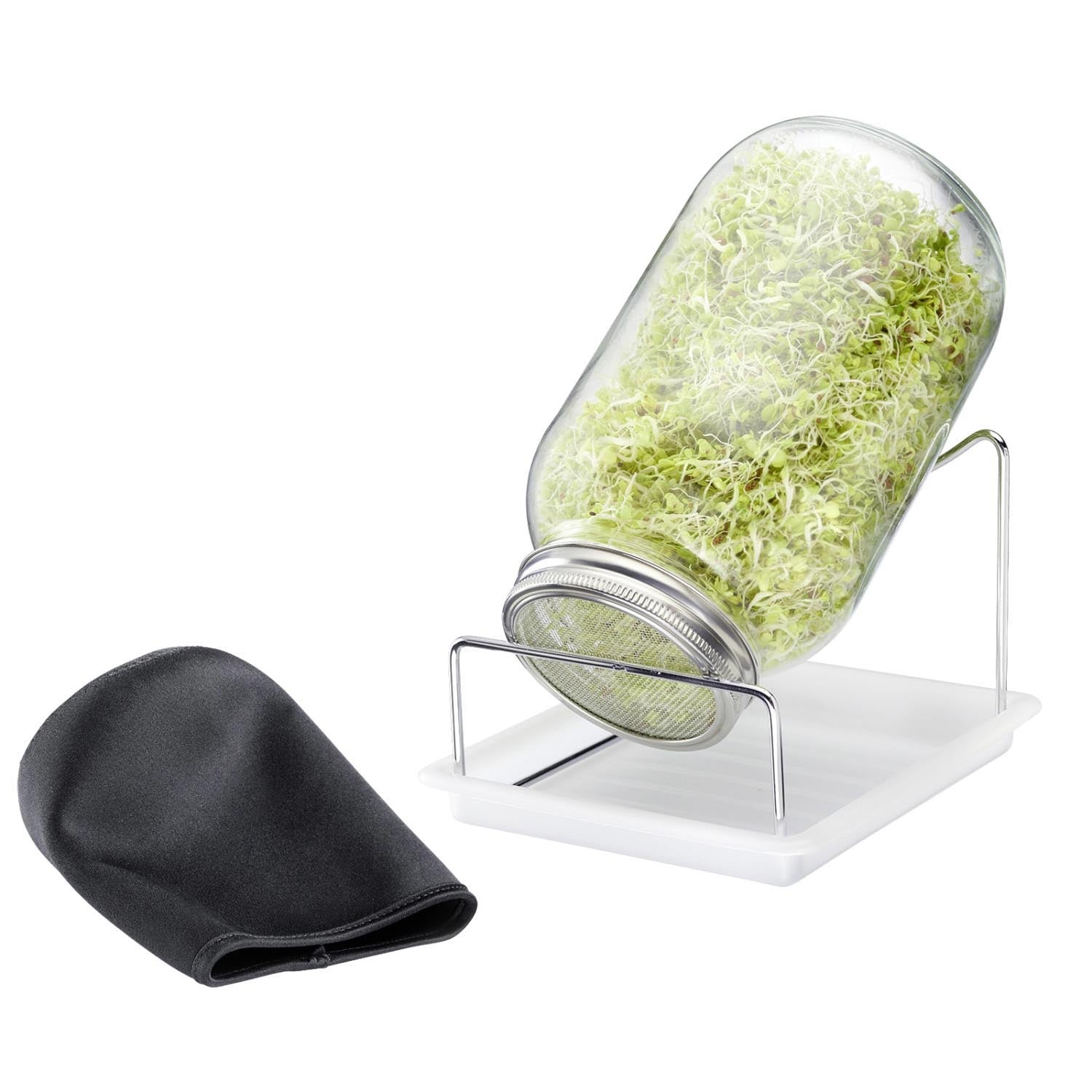 Das 2000 ml Sprossenglas von Westmark ermöglicht die einfache und saubere Anzucht frischer Sprossen zu Hause.