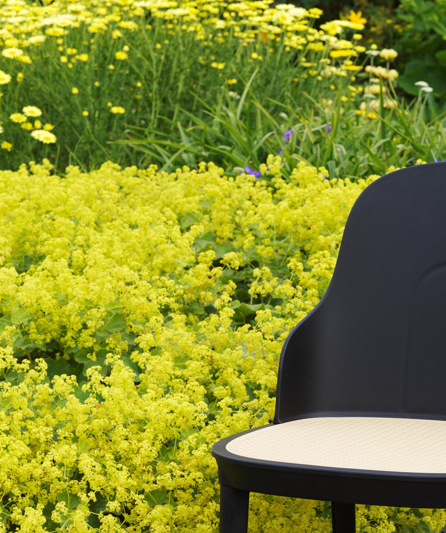 Der Allez Stuhl von Normann Copenhagen kombiniert elegantes Design mit hervorragendem Sitzkomfort. Perfekt für jedes Zuhause.