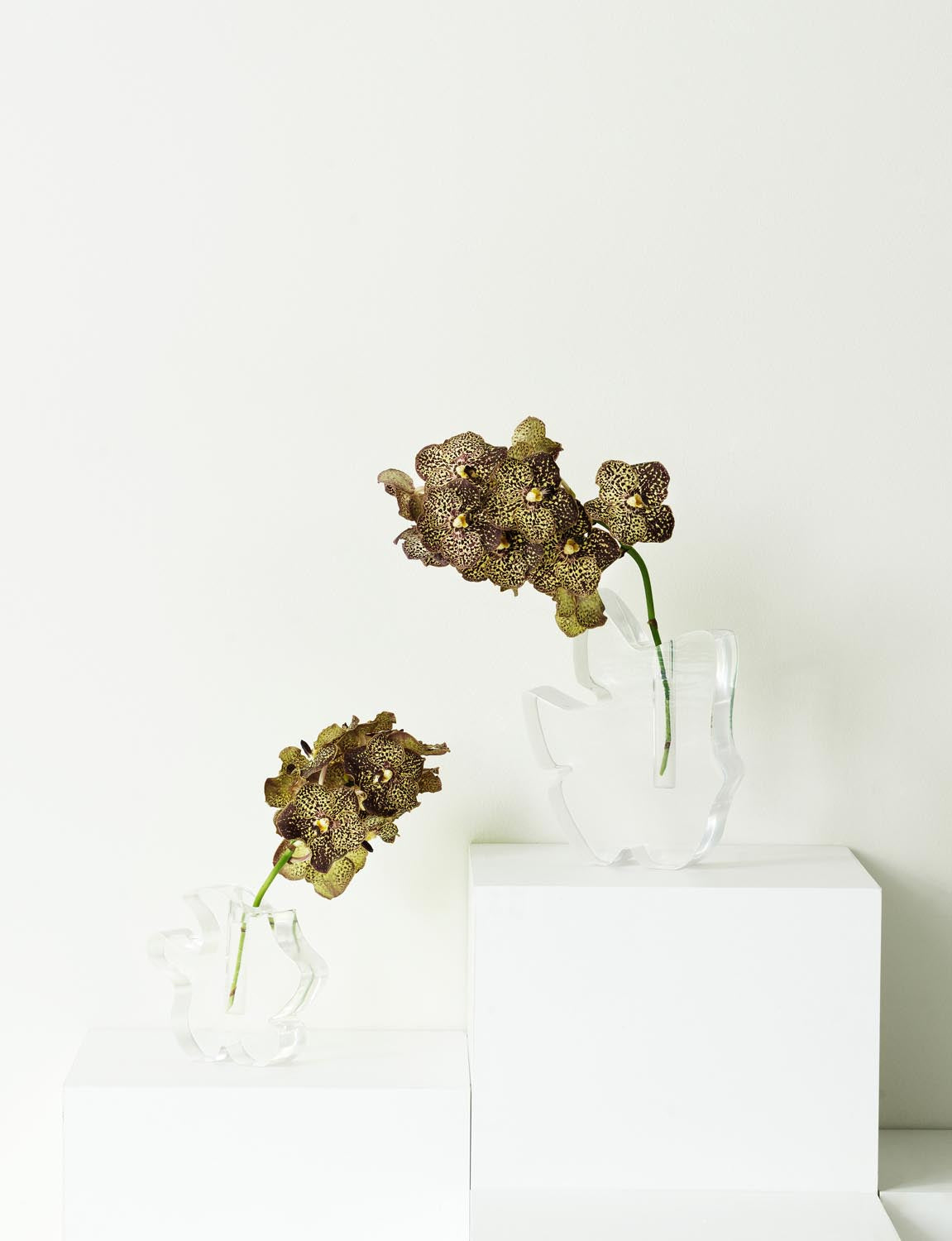 Draw Vase in Transparent präsentiert im Onlineshop von KAQTU Design AG. Vase ist von Normann Copenhagen