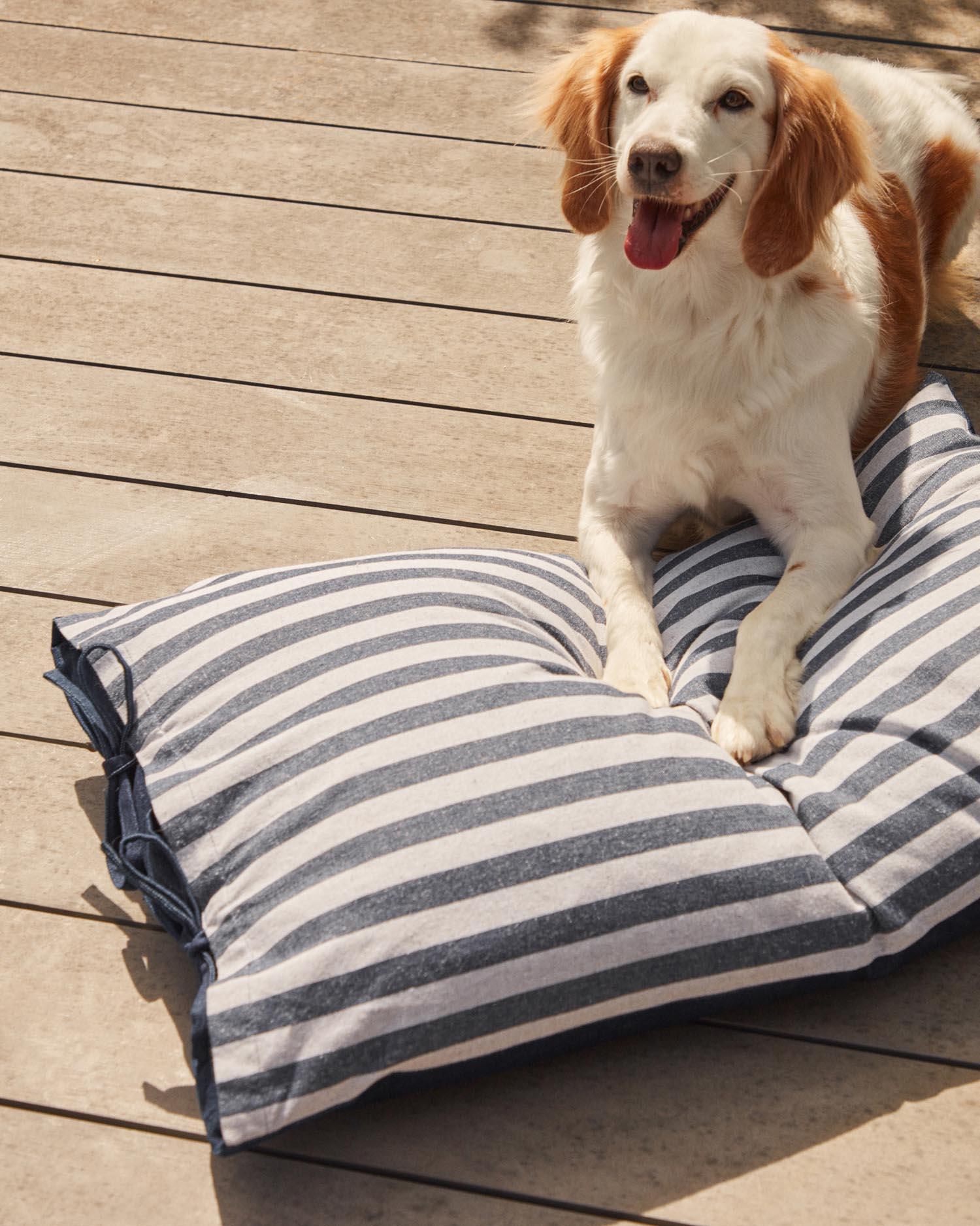 Entdecken Sie das stilvolle Tabby Kissen von Kave Home: 100% Baumwolle, ideal für Katzen und kleine Hunde, pflegeleicht und elegant.