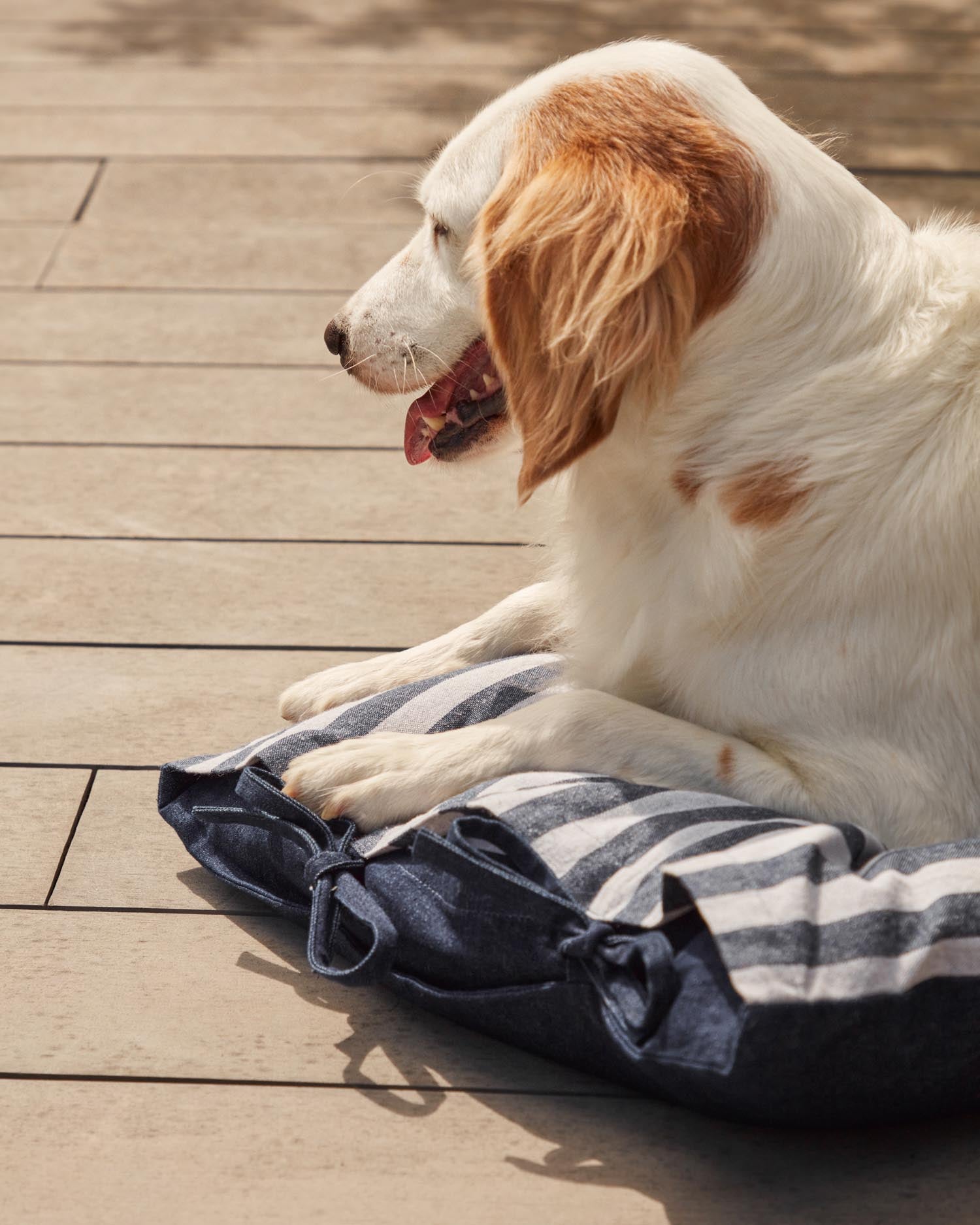 Tabby Kissen 50x80 cm aus reiner Baumwolle mit stilvollem Streifenmuster, ideal für ein modernes und einladendes Ambiente.