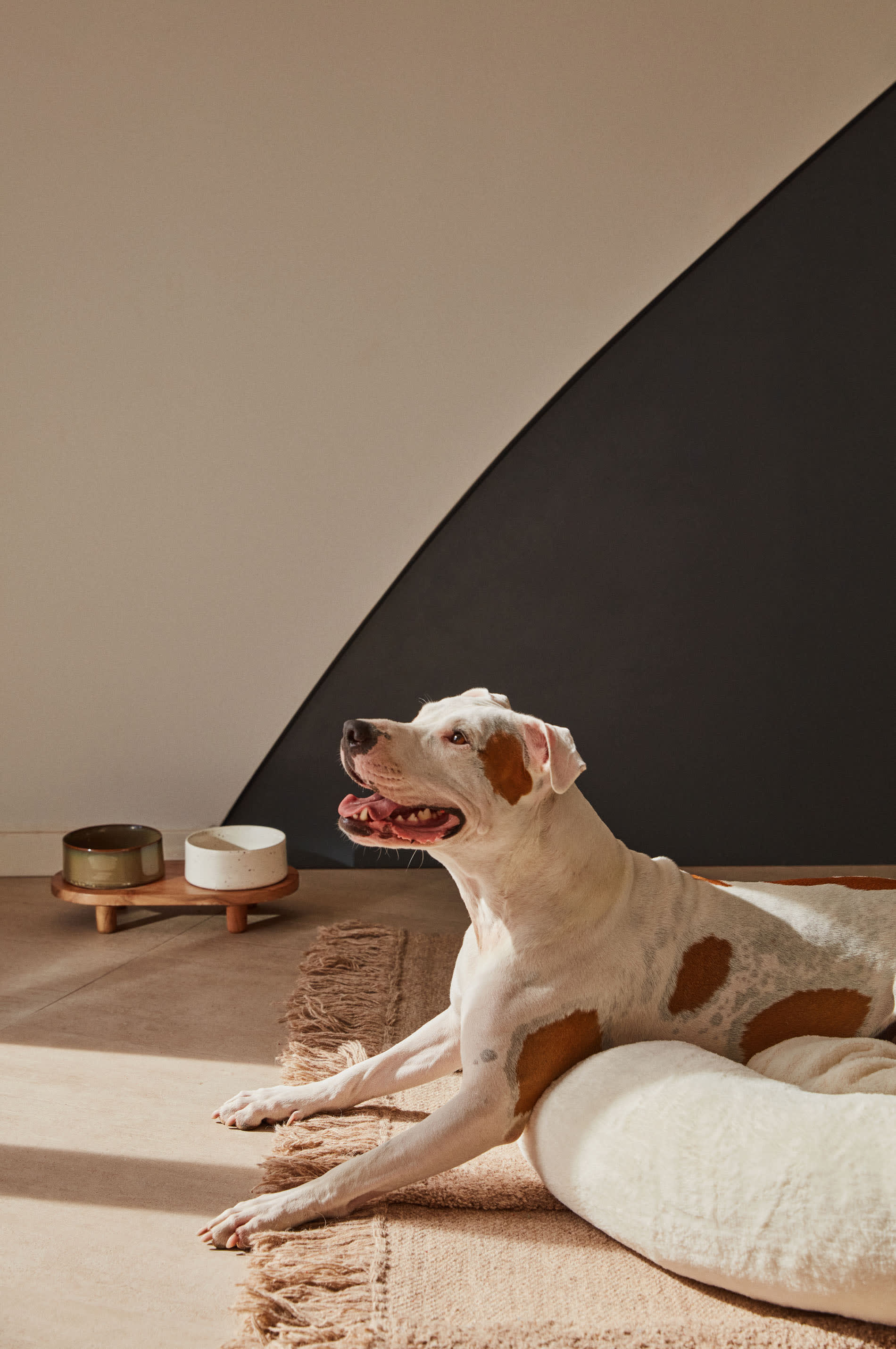 Elegantes Set aus zwei Futternäpfen mit Gestell, gefertigt aus FSC-zertifiziertem Holz, in Weiss und Braun, Ø 14 cm, ideal für Haustiere.