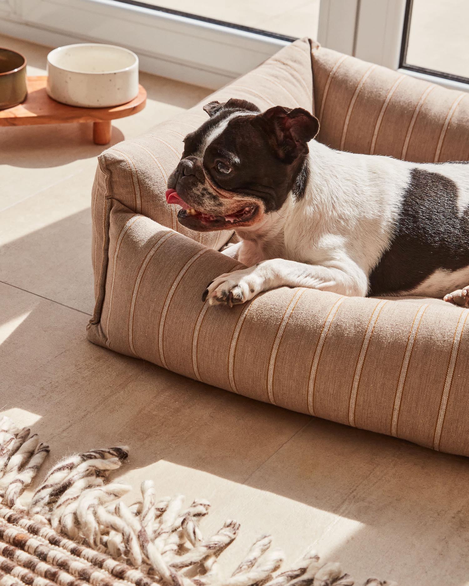 Das Dumbi Set aus 2 eleganten, weißen Keramiknäpfen (Ø 14 cm) bietet stilvolle Fütterungslösungen für kleine bis mittelgroße Haustiere.