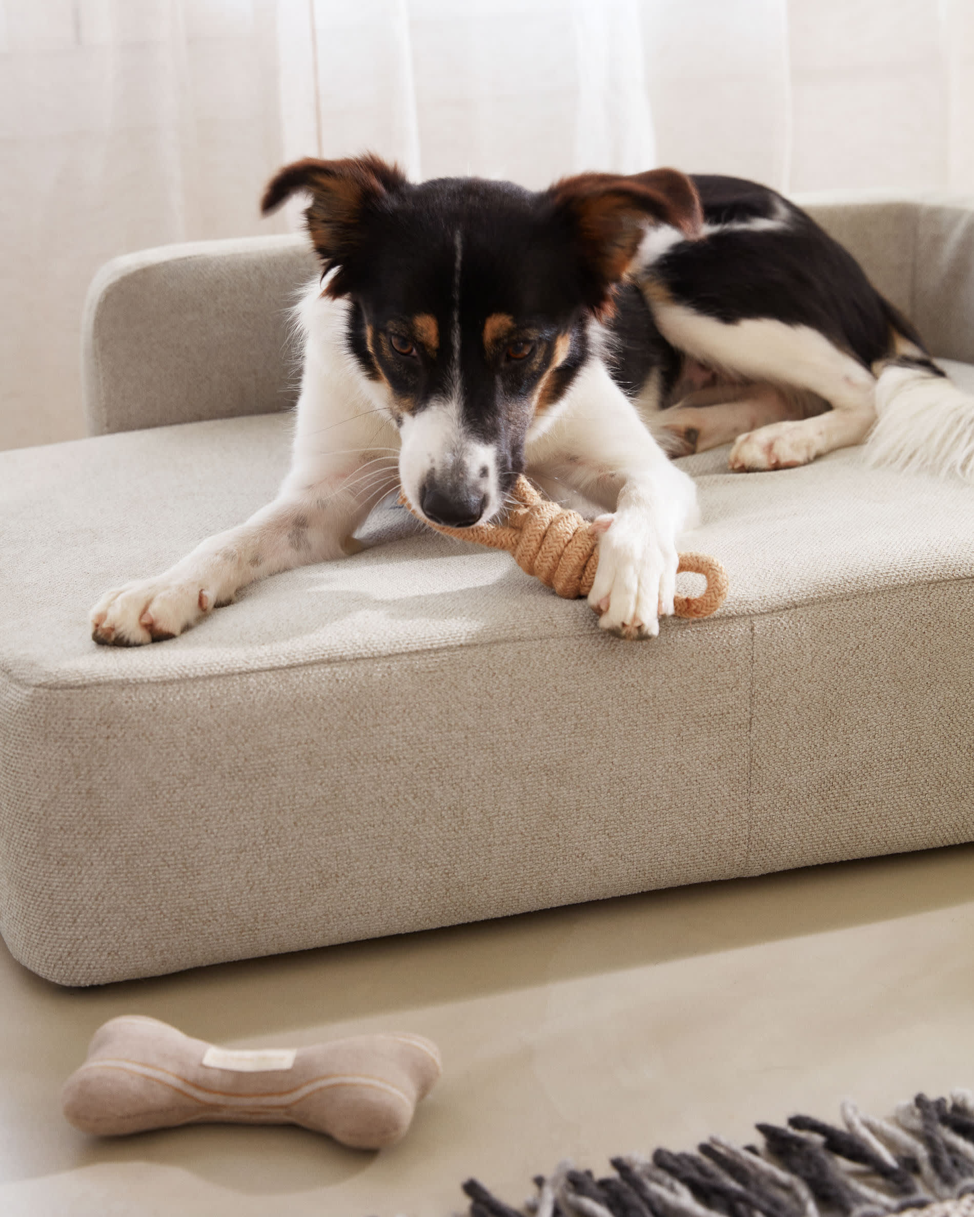 Das Bowie Haustierbett in Beige (73 x 98 cm) von Kave Home bietet stilvollen Komfort und Pflegeleichtigkeit für Ihr Haustier.
