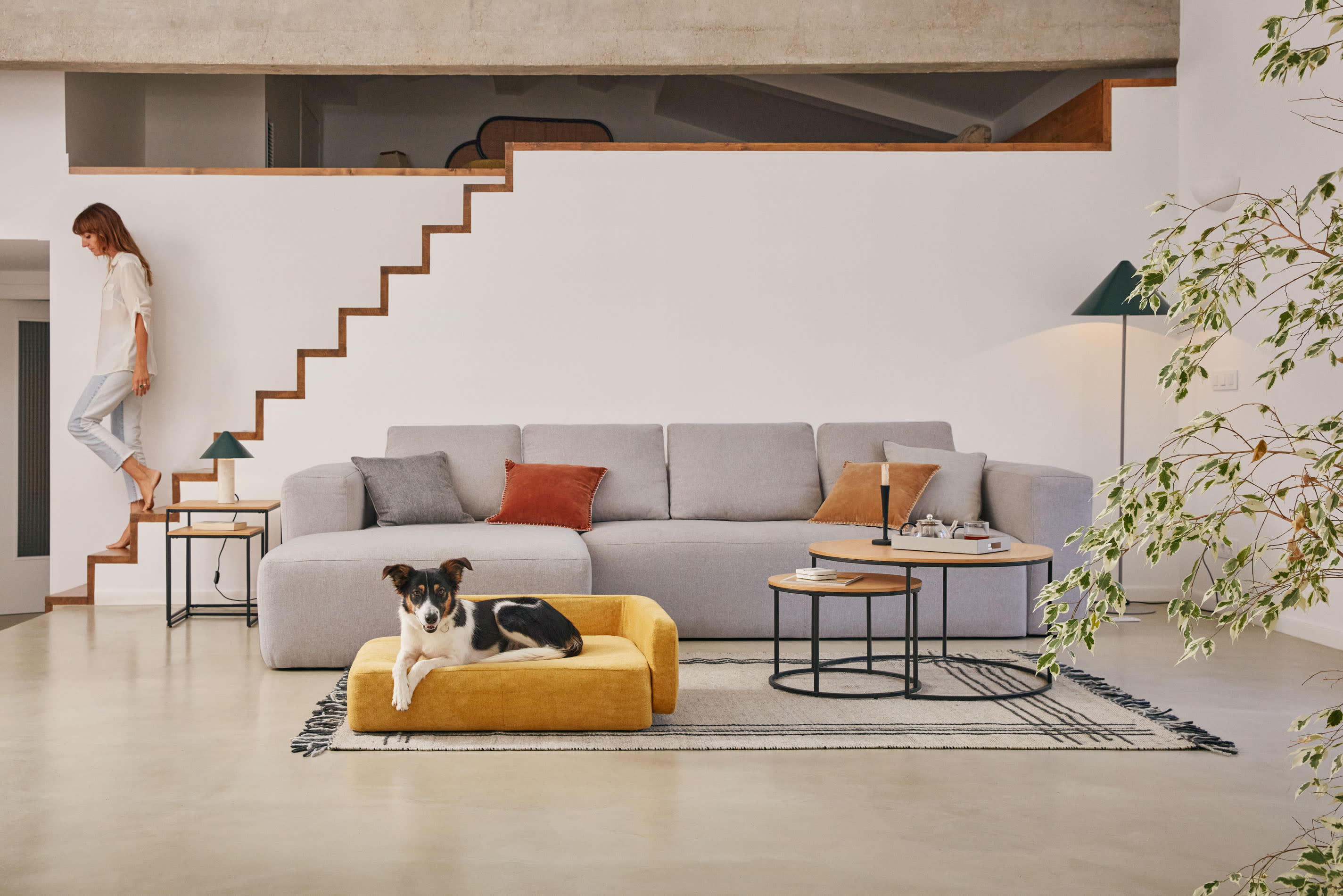 Das Bowie Haustierbett in senfgelb (73 x 98 cm) vereint Komfort und modernes Design, ideal für große Hunde und kleine Haustiere.