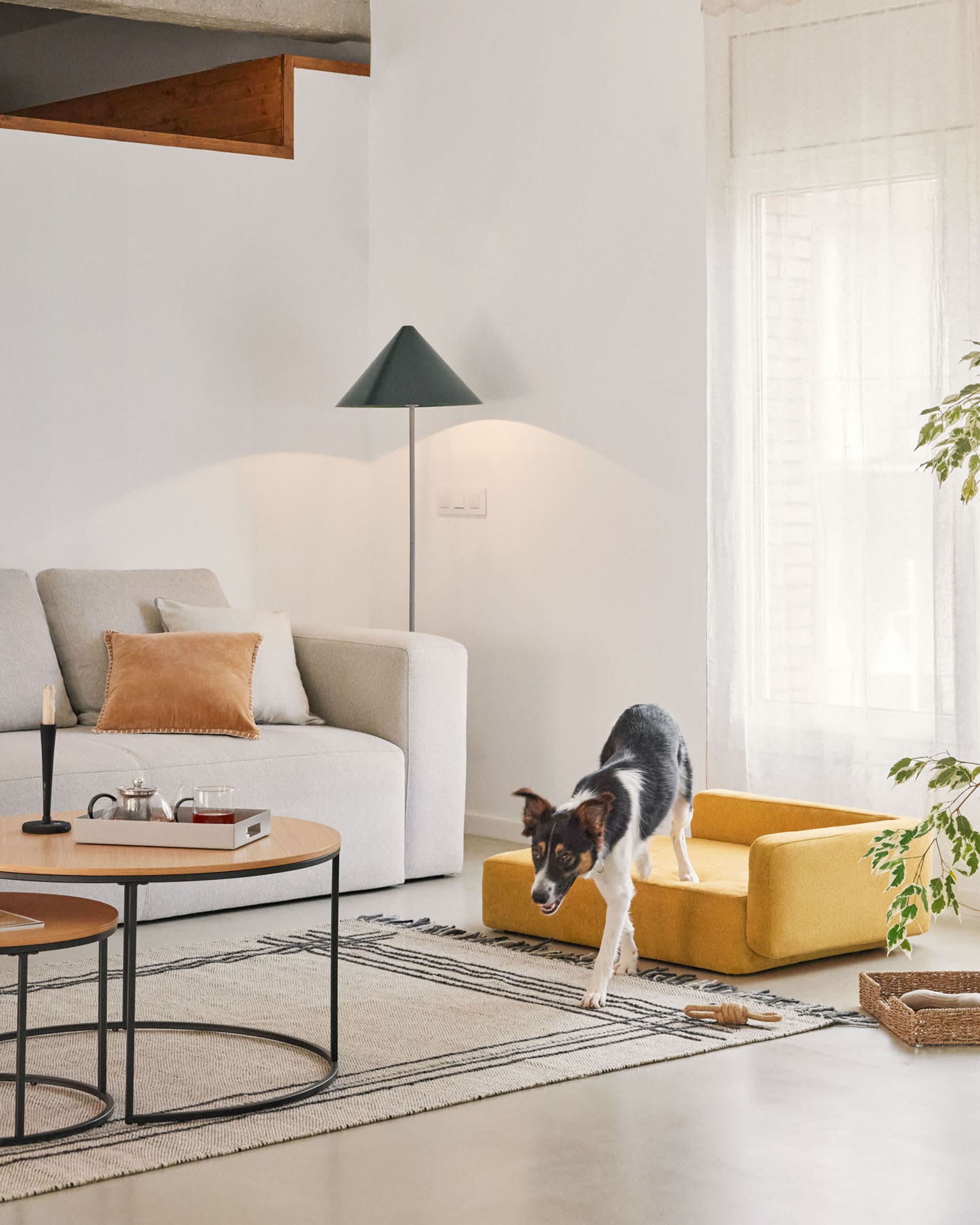 Das Bowie Haustierbett in senfgelb (73 x 98 cm) bietet optimalen Komfort und stilvolles Design für große und kleine Haustiere.