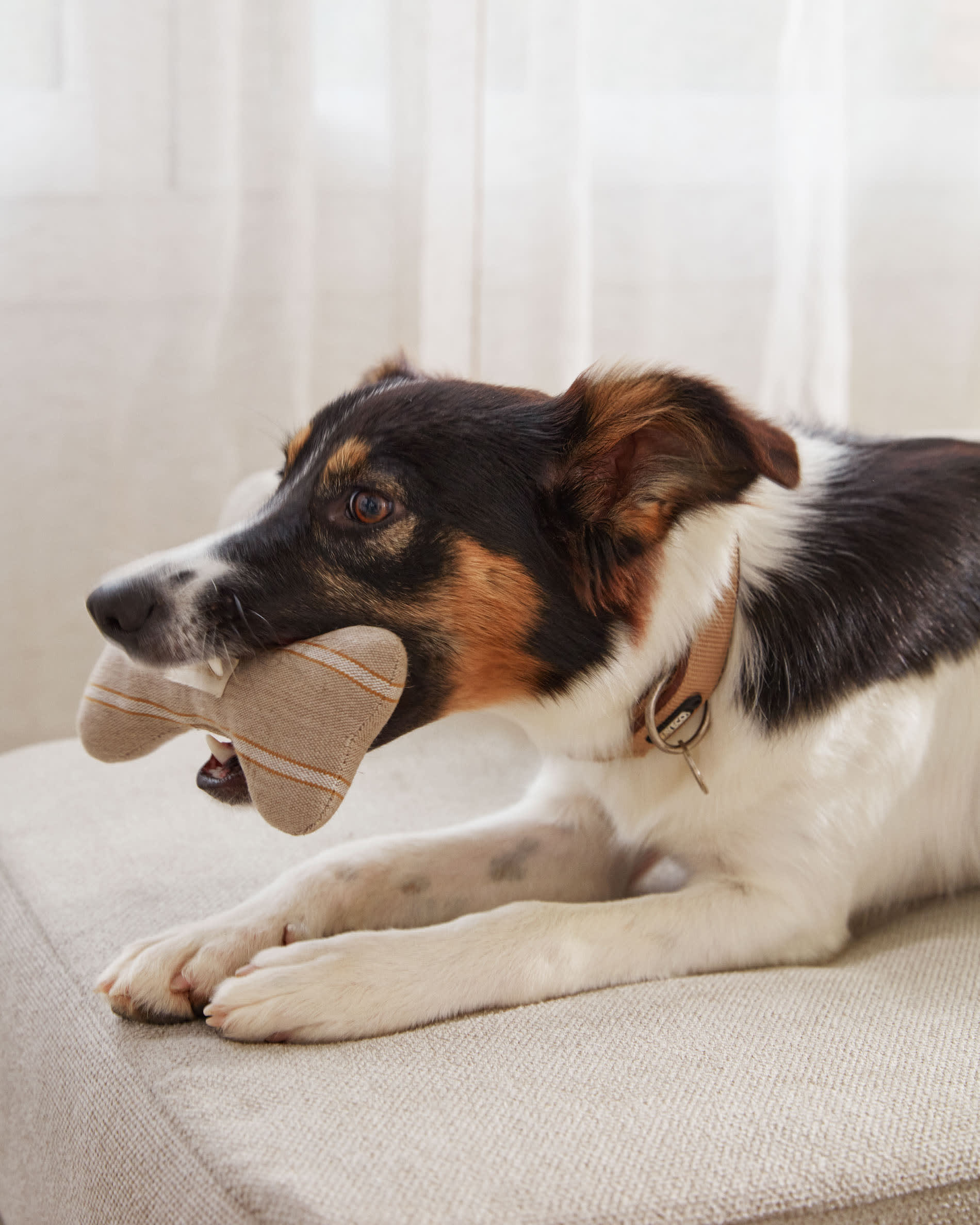 Beige Bowie Bezug für großes Haustierbett (73 x 98 cm) von Kave Home. Hochwertig, pflegeleicht und ideal für stilvolle Tierliebhaber!