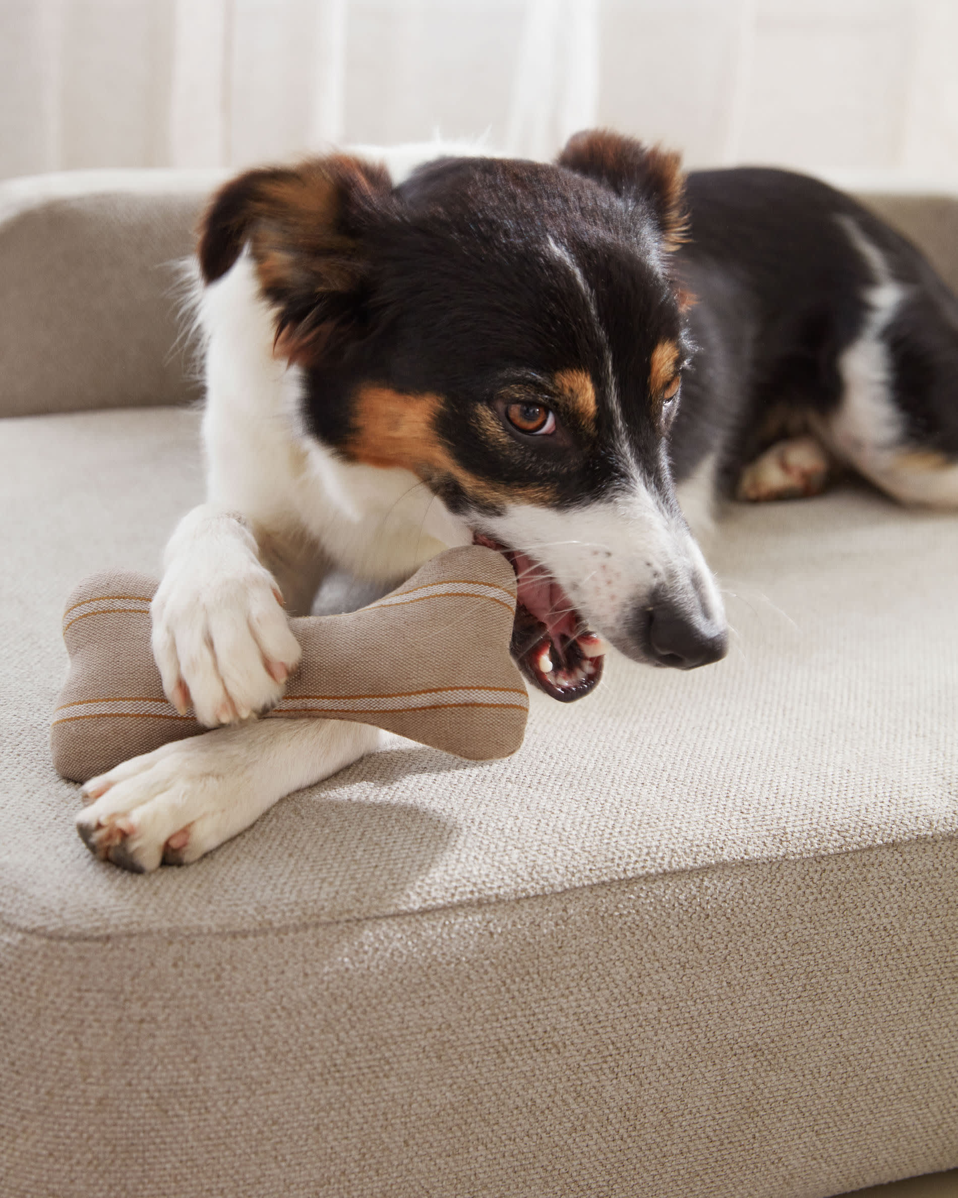 Beige Bowie Bezug für Haustierbett (73 x 98 cm) von Kave Home. Langlebig, waschbar und perfekt für ein stilvolles Zuhause mit Haustier!