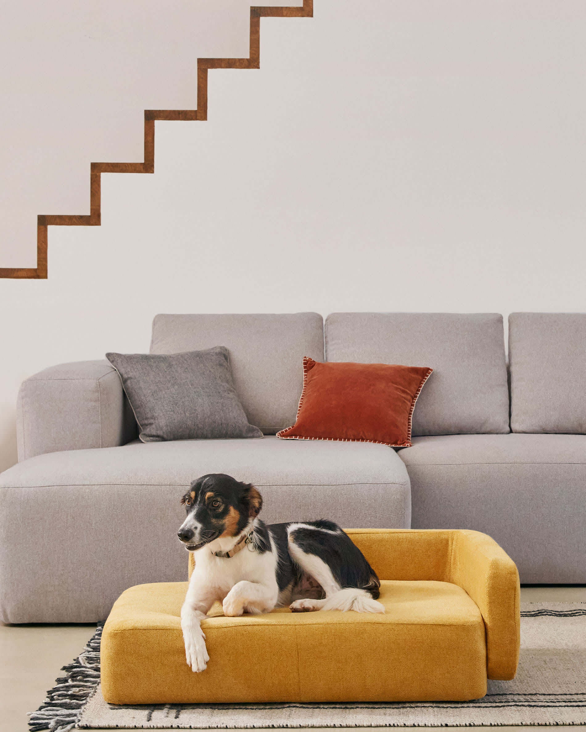 Gestalten Sie das Schlafumfeld Ihres Haustiers stilvoll mit dem Bowie Bezug in senfgelb (73 x 98 cm) von Kave Home – langlebig, pflegeleicht und elegant!